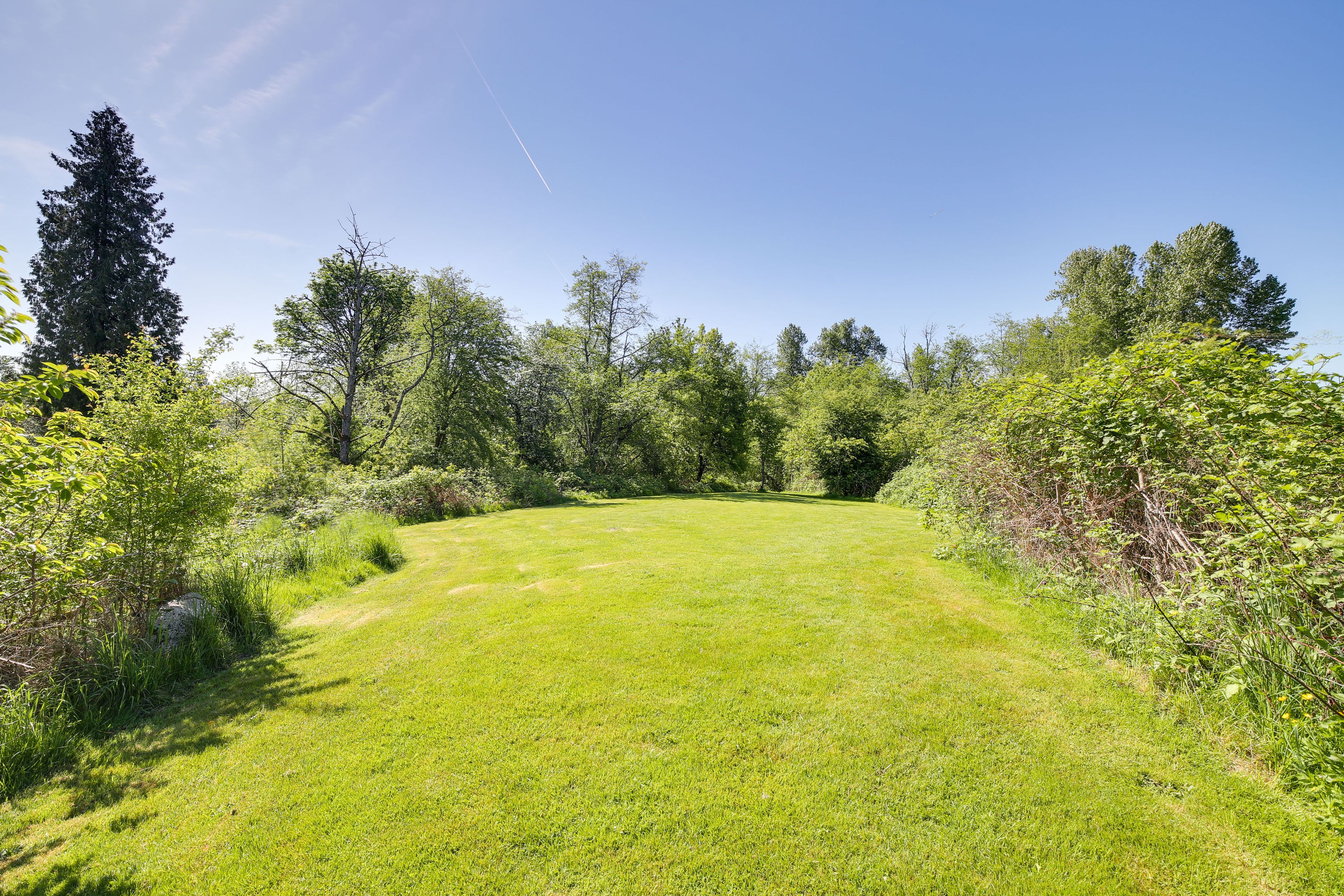 Surrounding Area