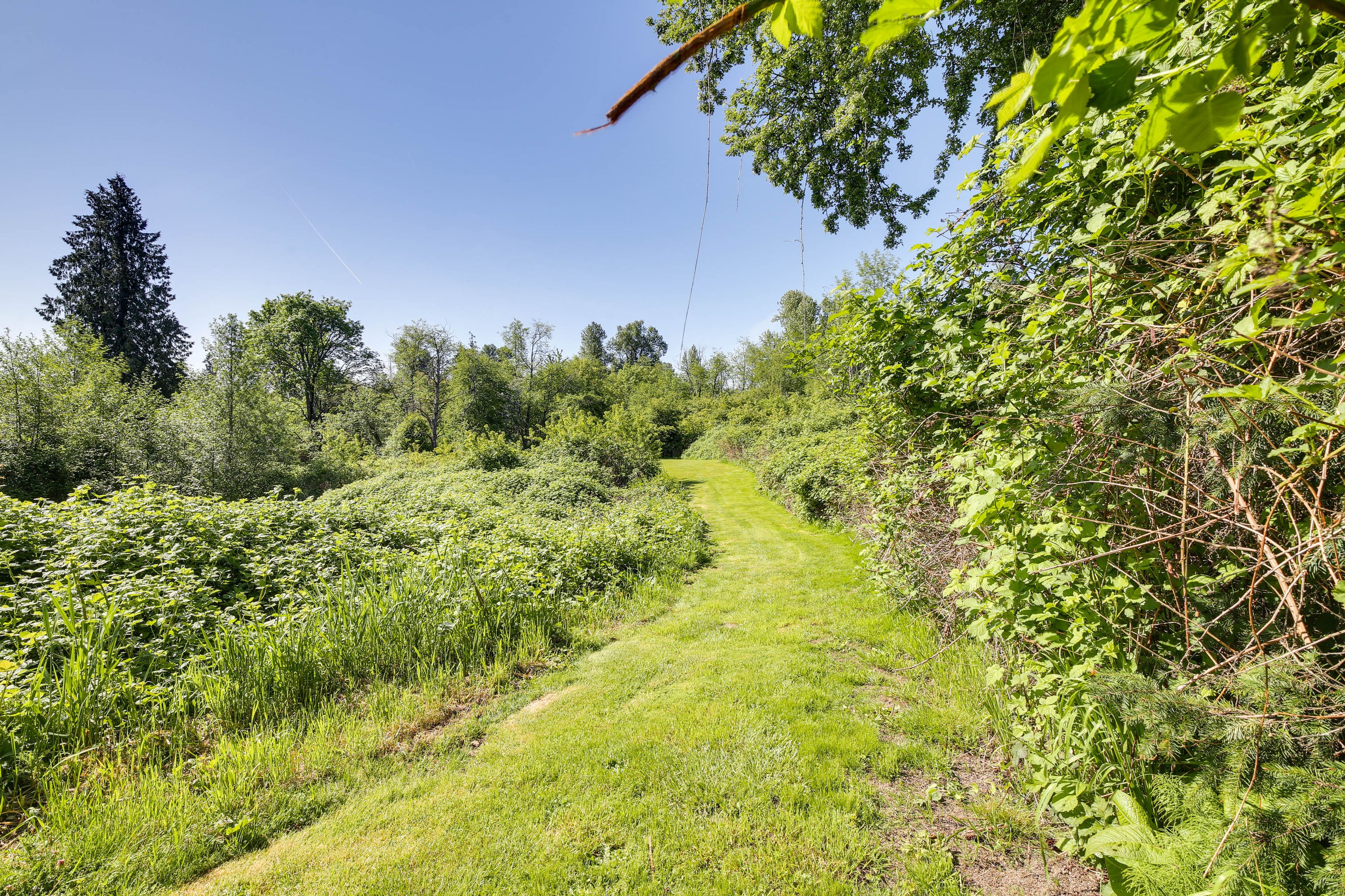 Image 32