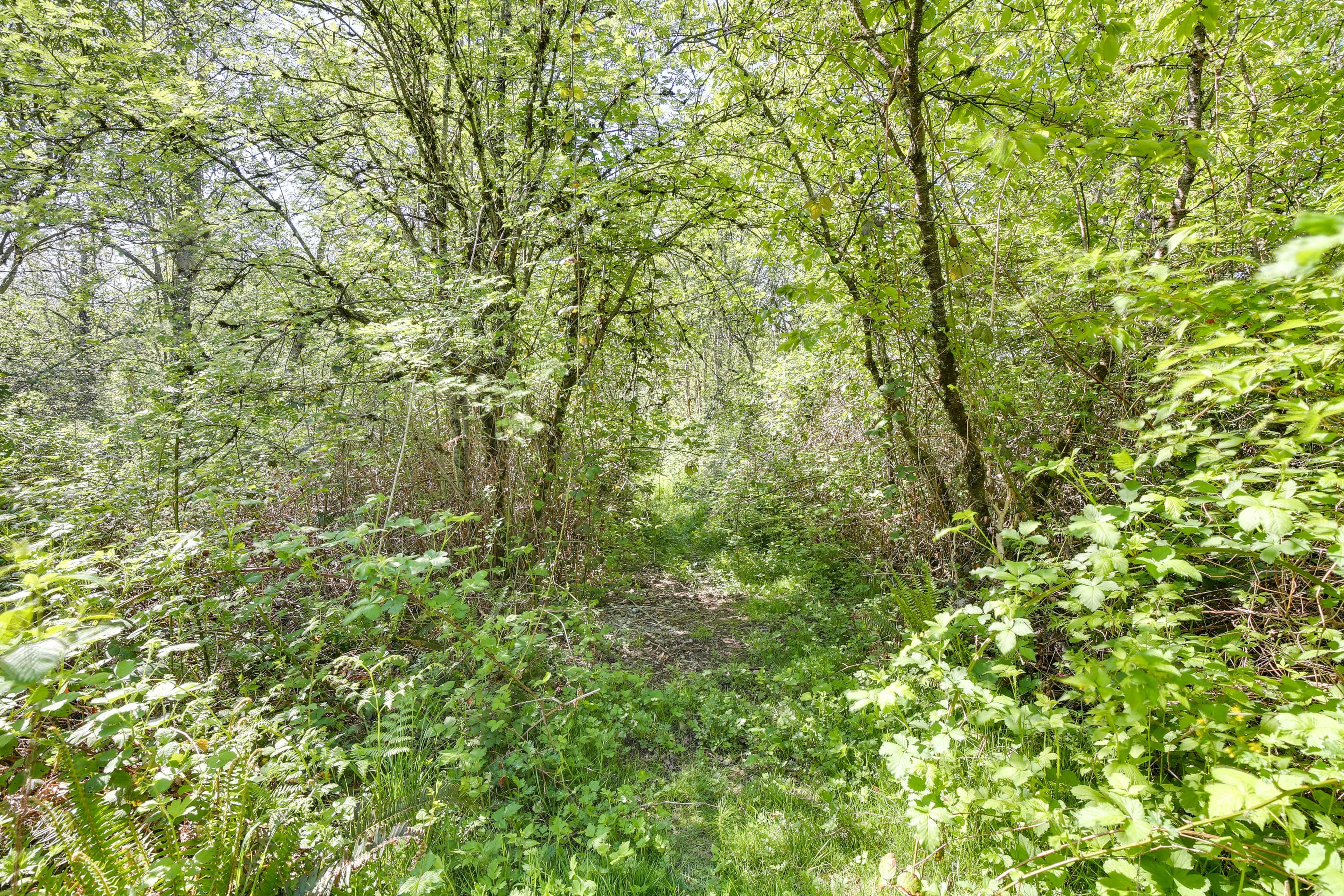 Image 33