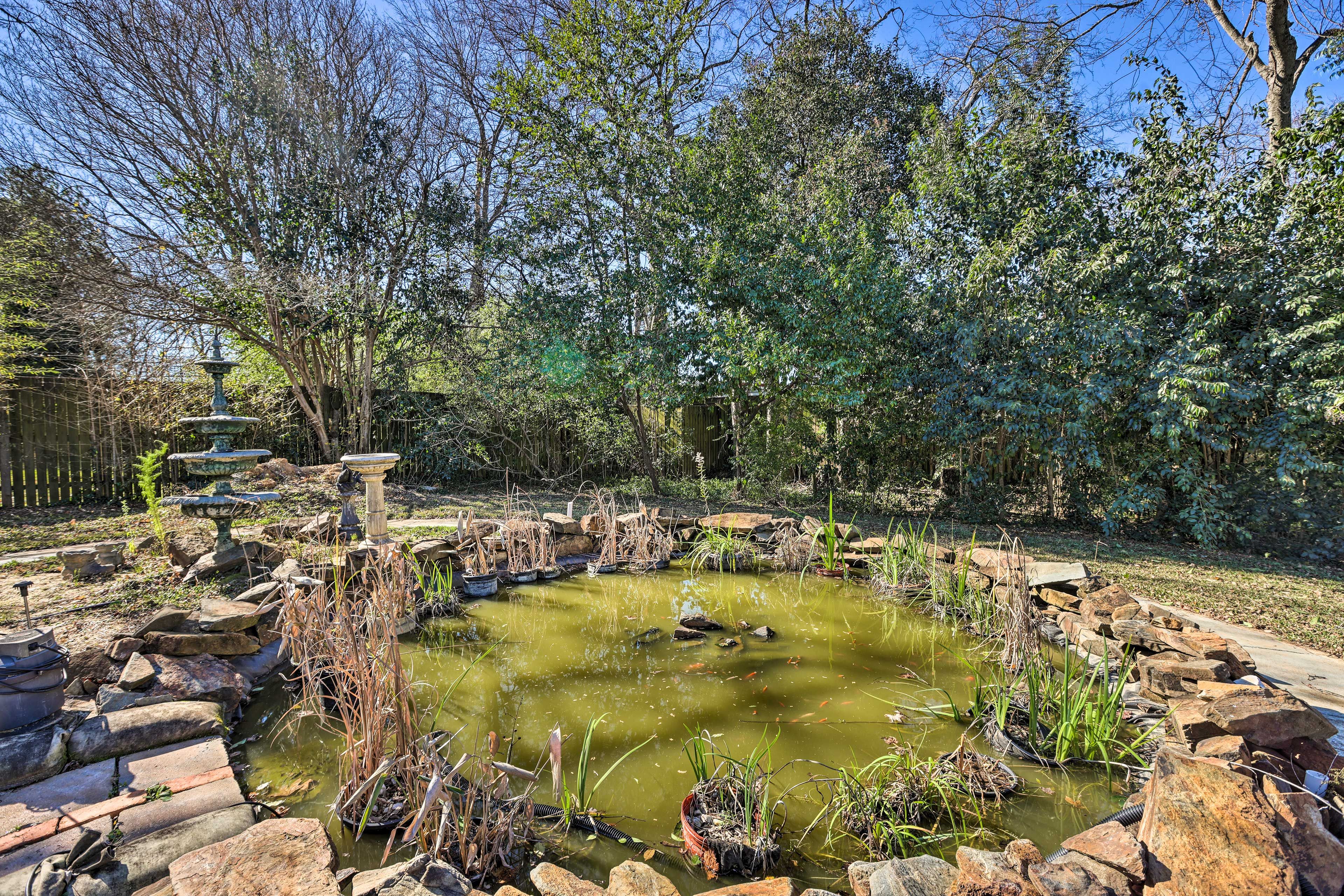 Backyard | Koi Pond | Gas Grill