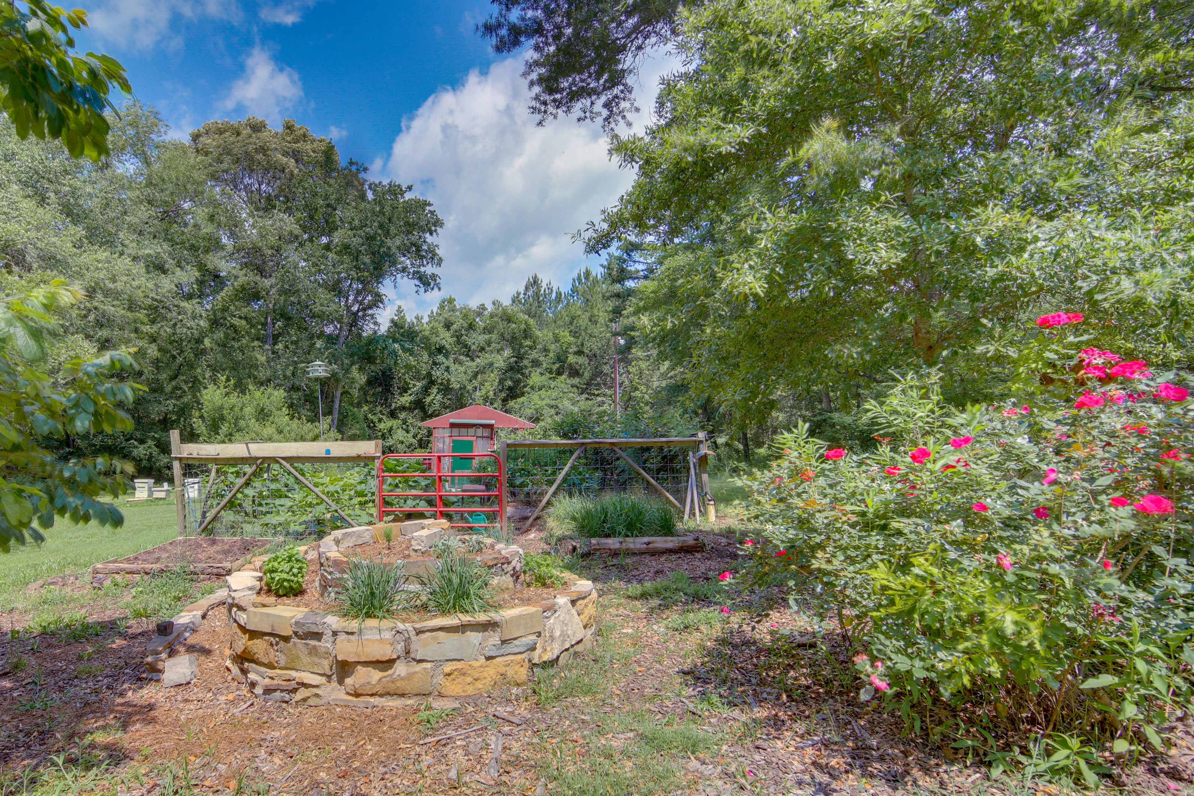 Shared Yard | Garden