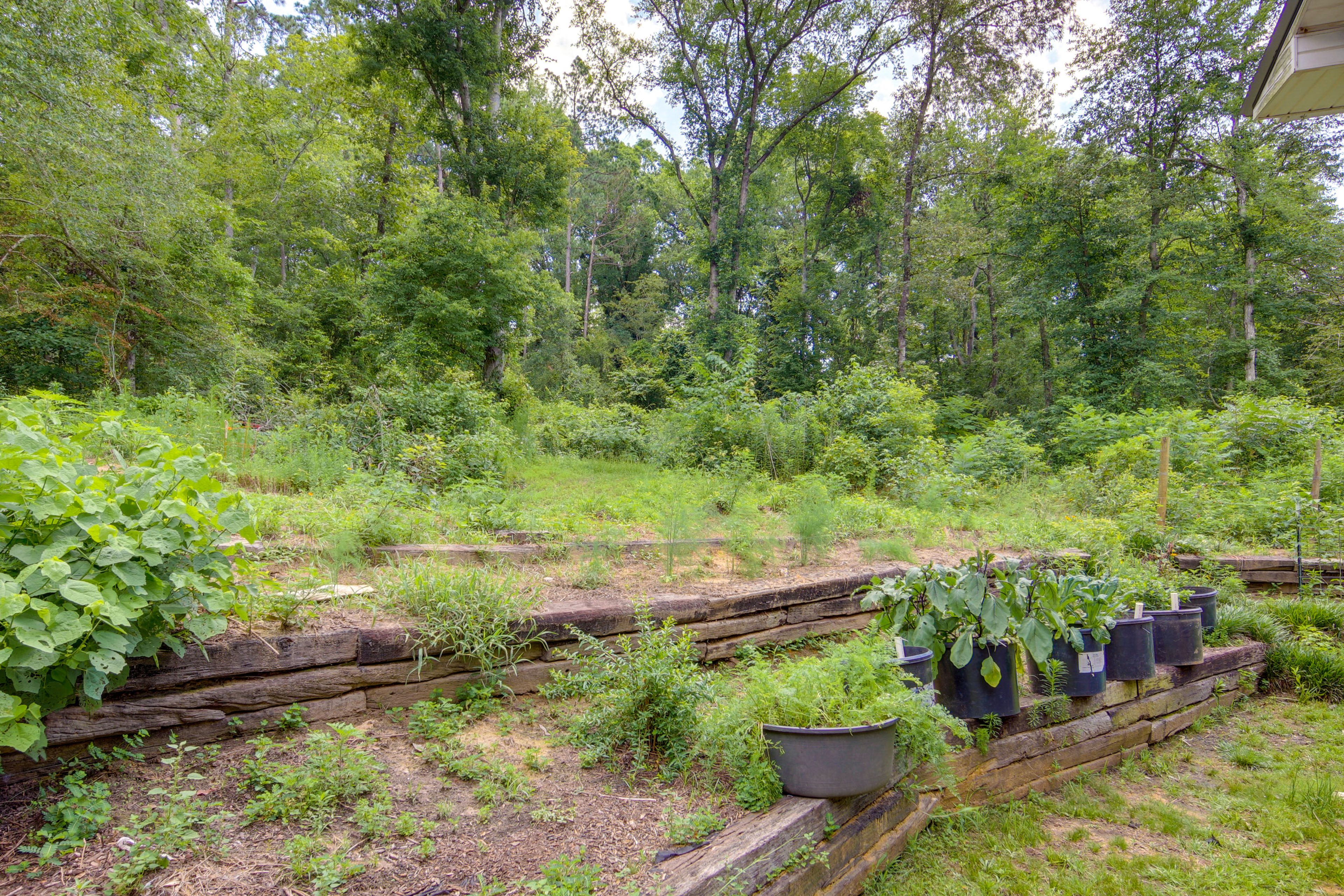 Image 31