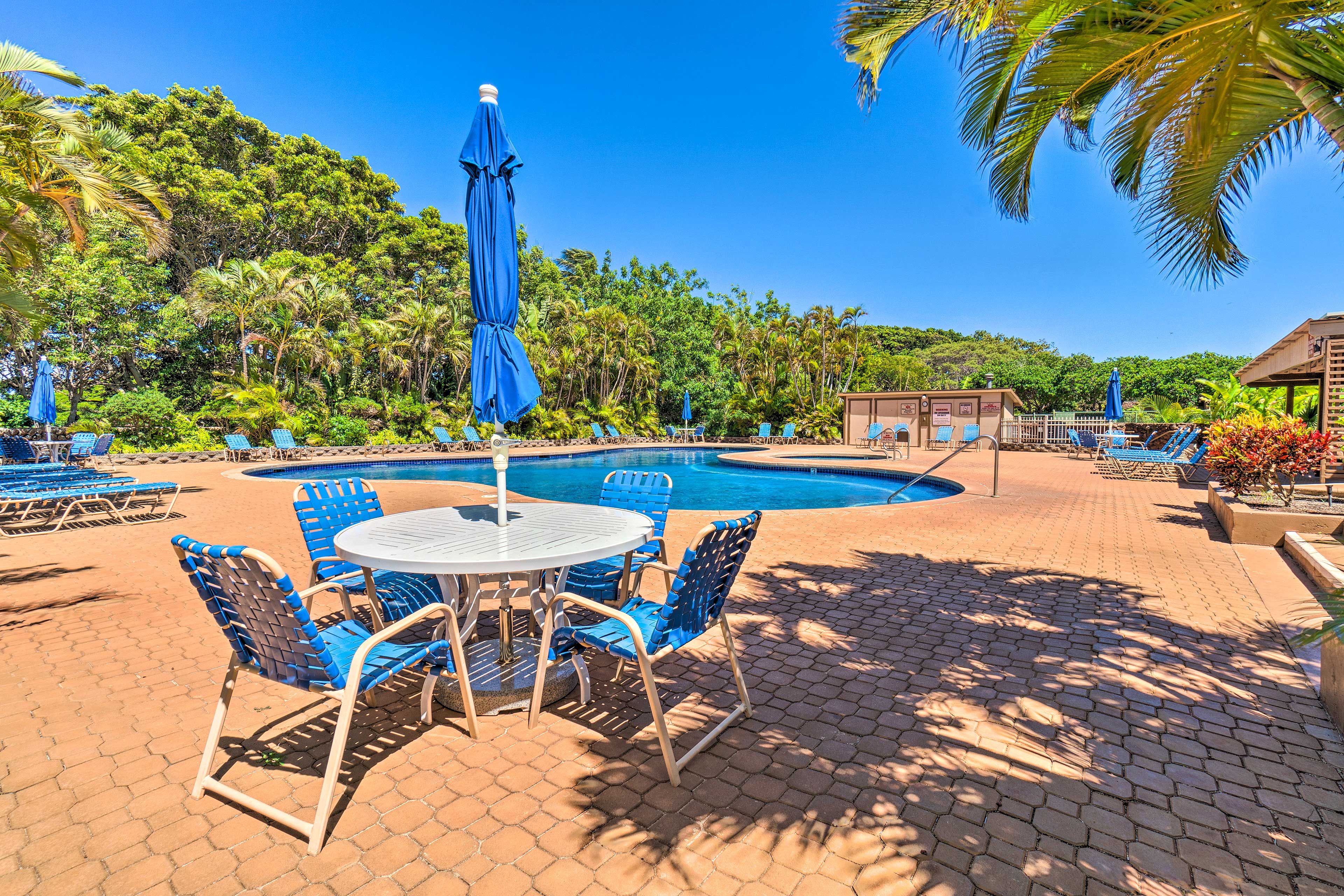 Community Pool & Spa