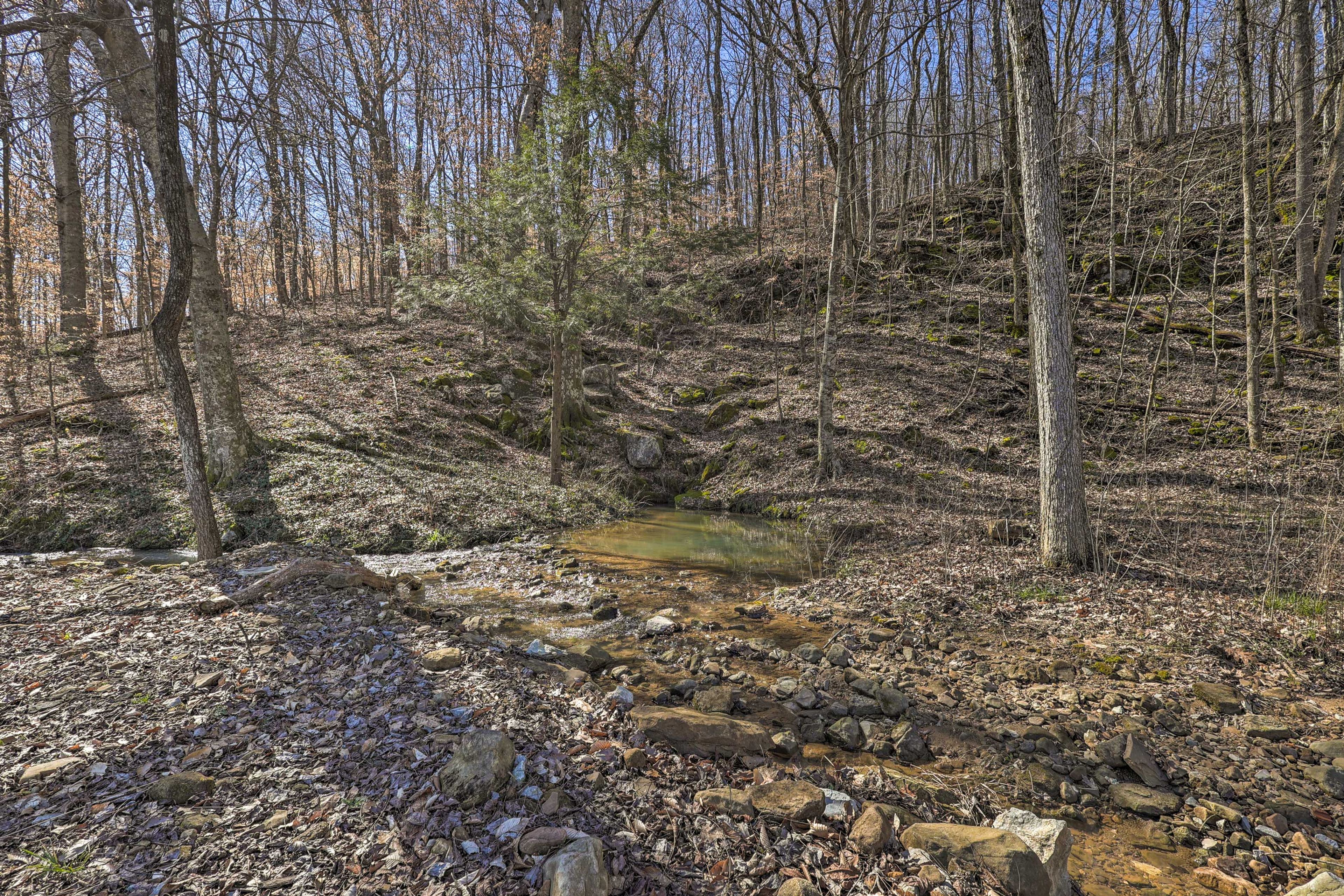 Image 34