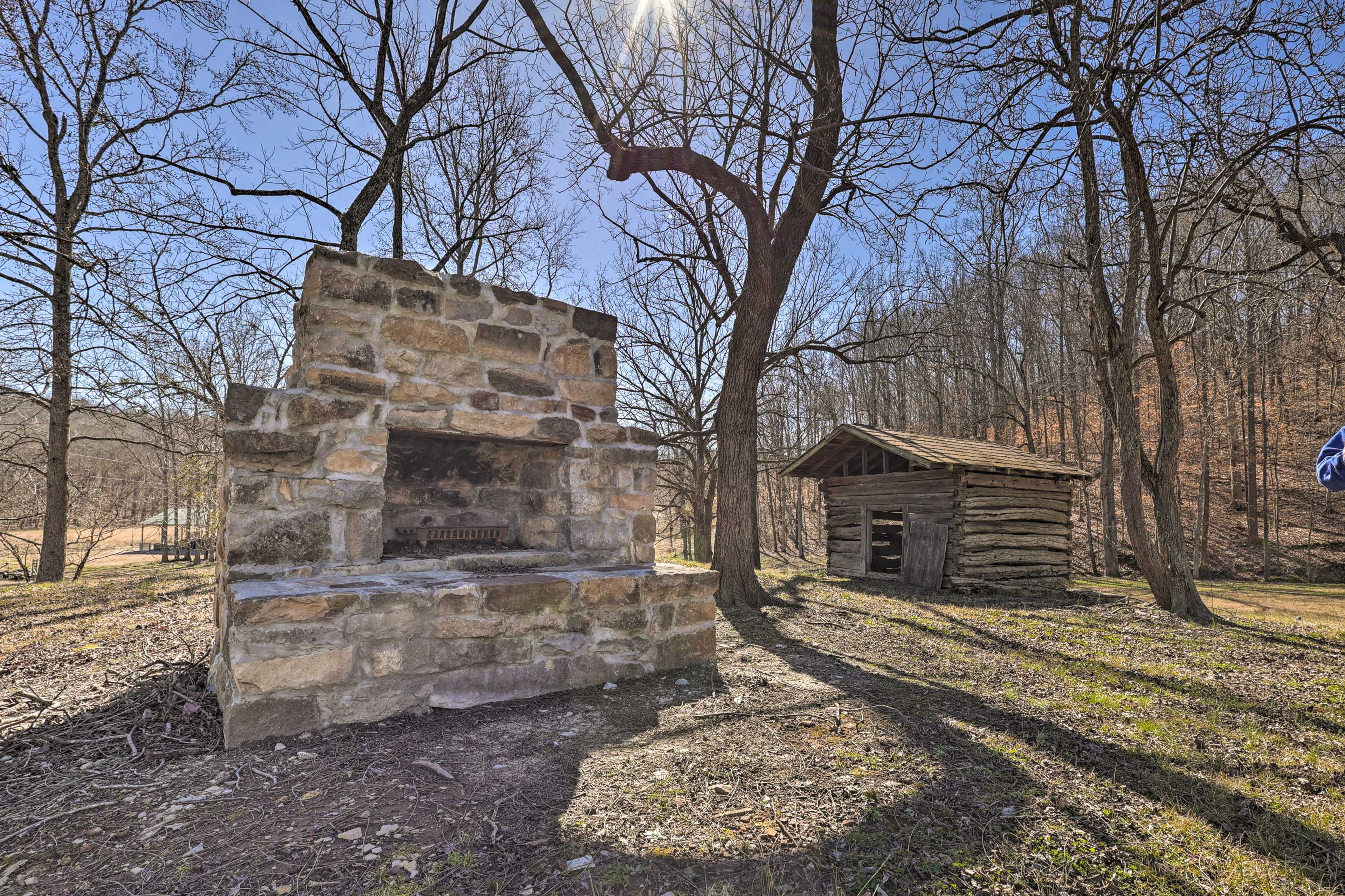 Image 40