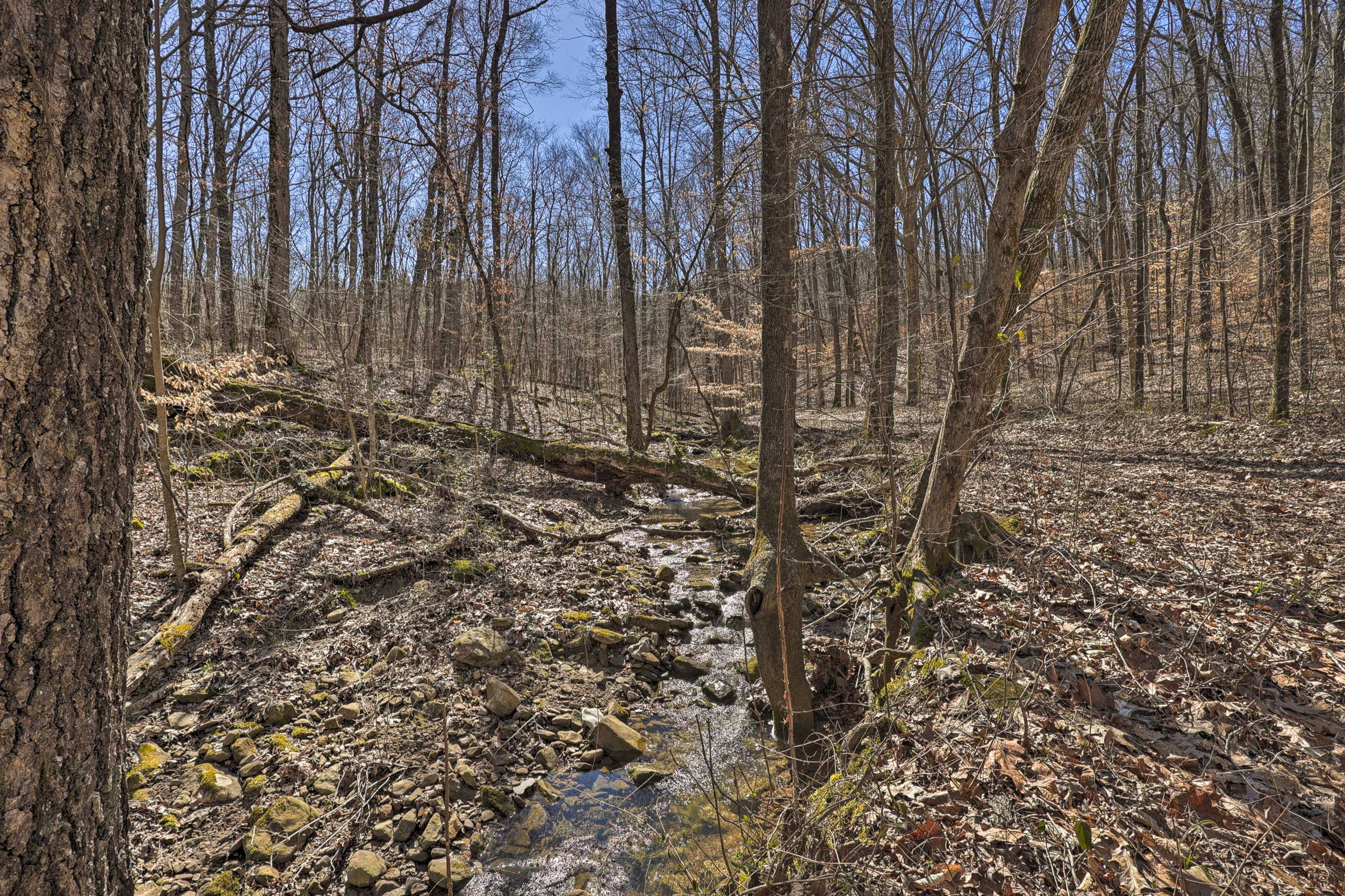 Image 37