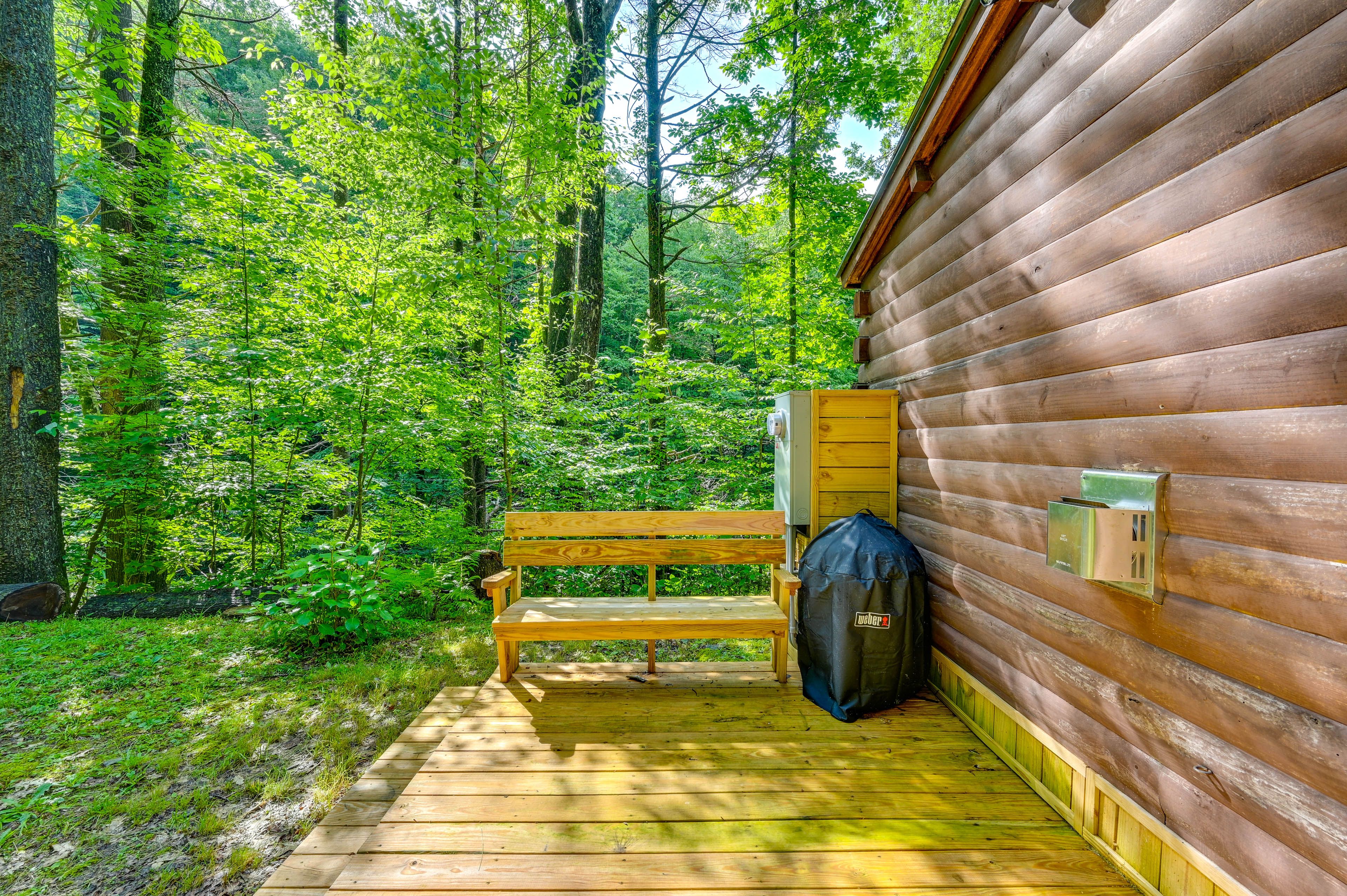 Back Deck