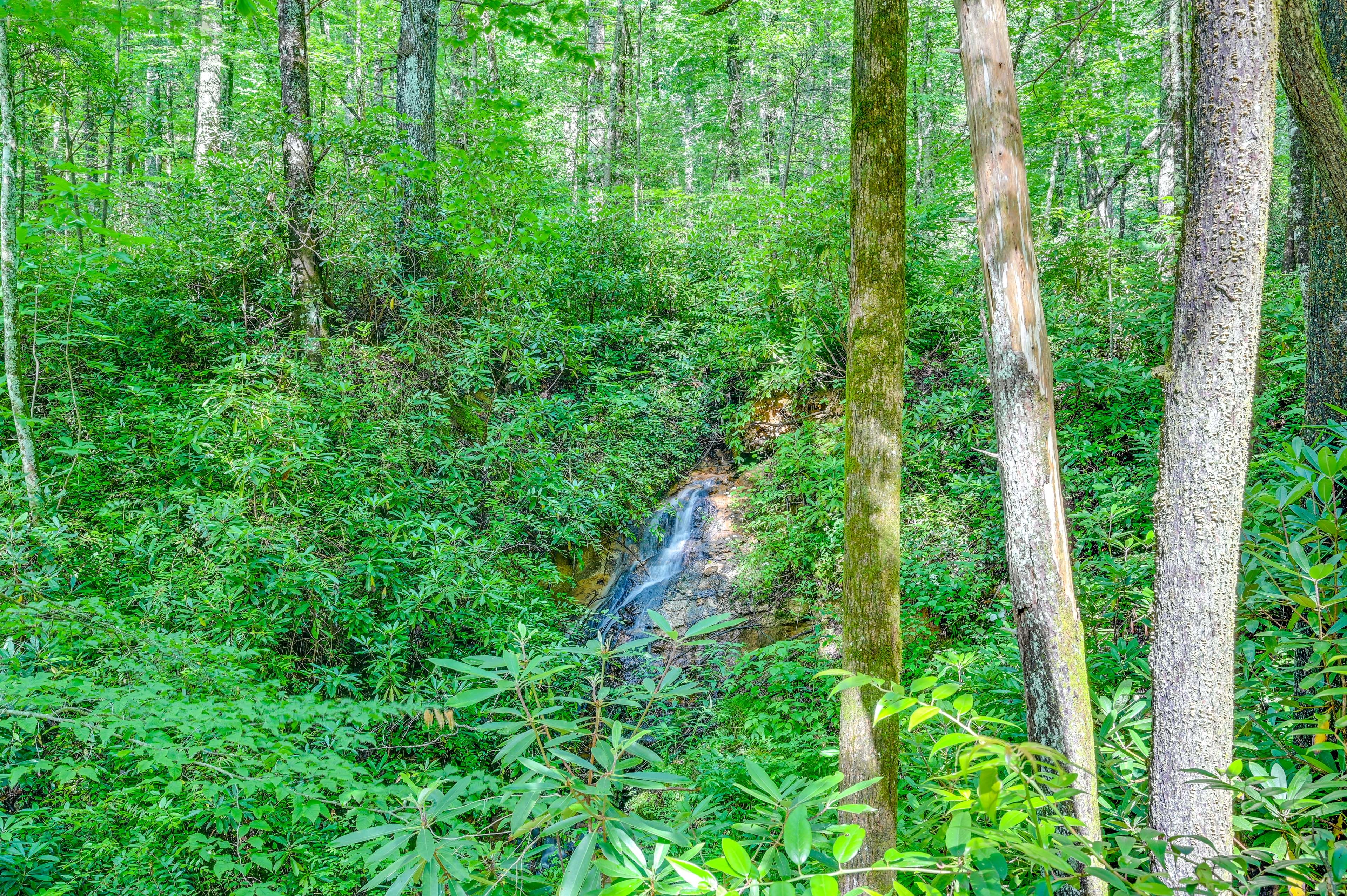 Surrounding Area