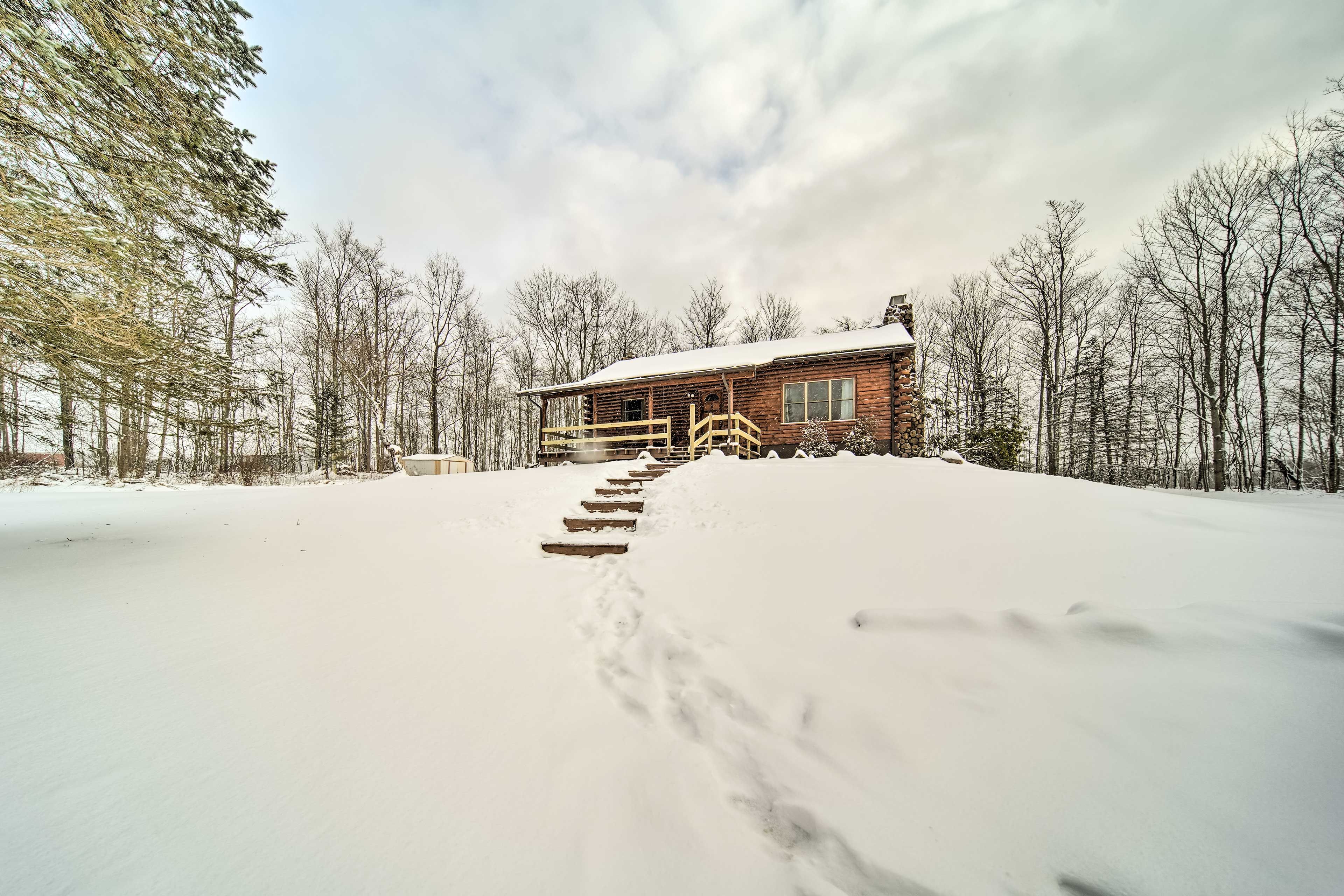 Cabin Exterior
