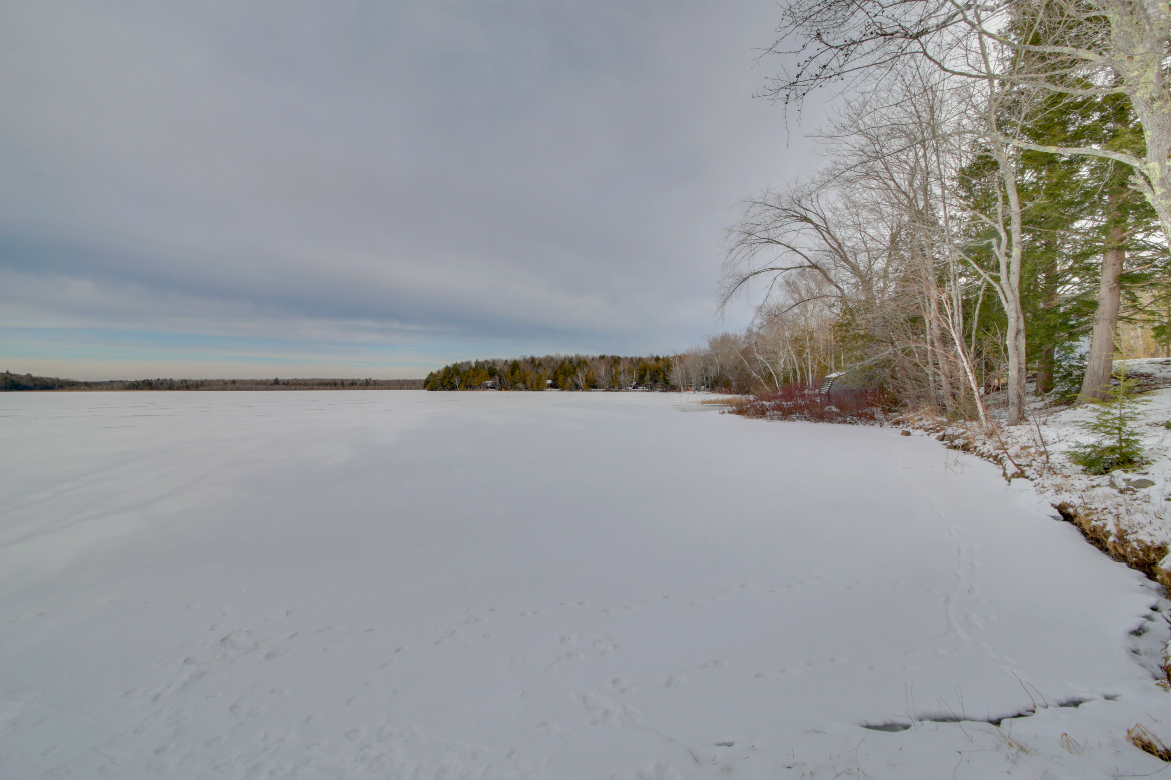Image 37