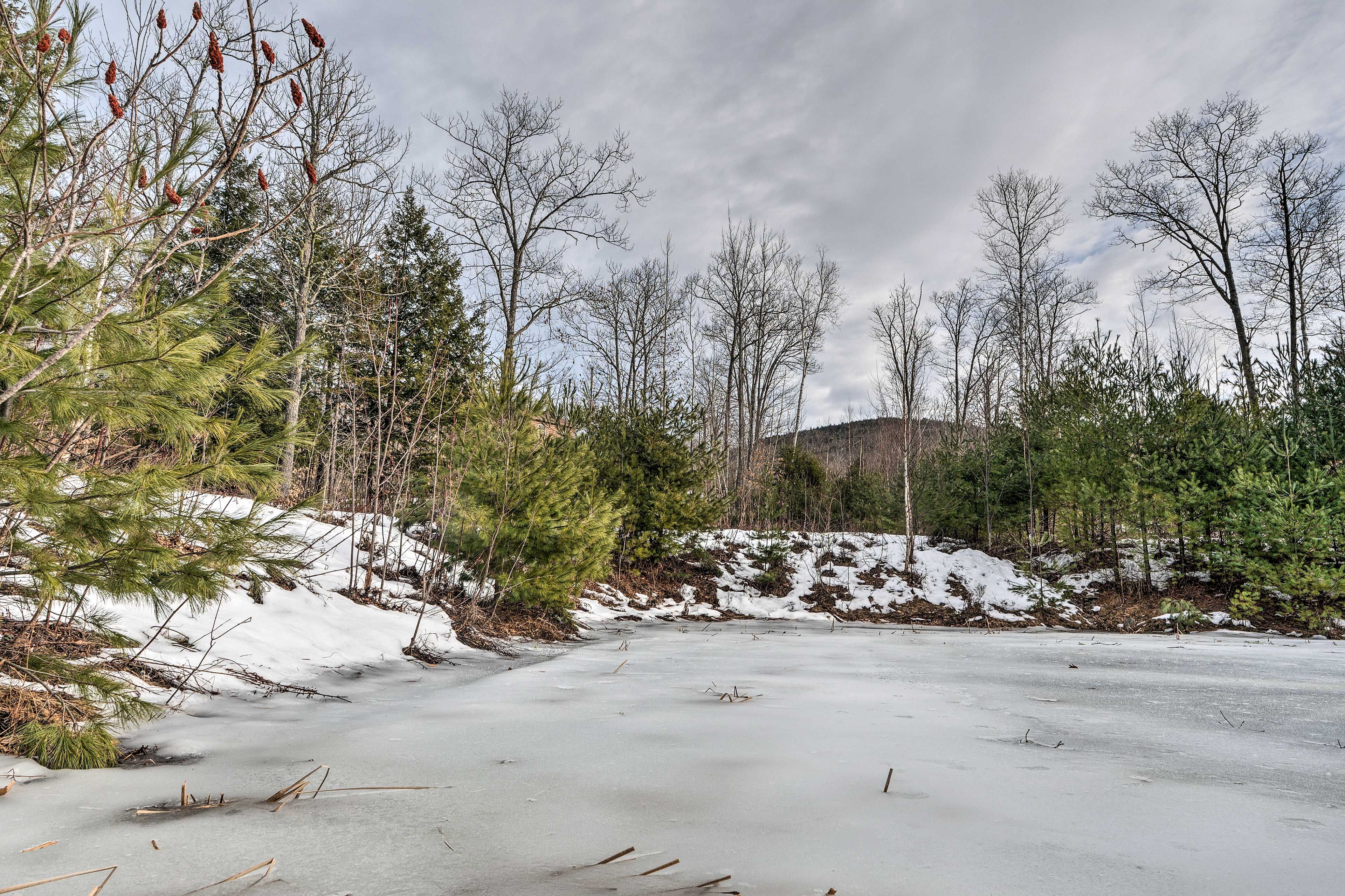 Seasonal Skating Pond