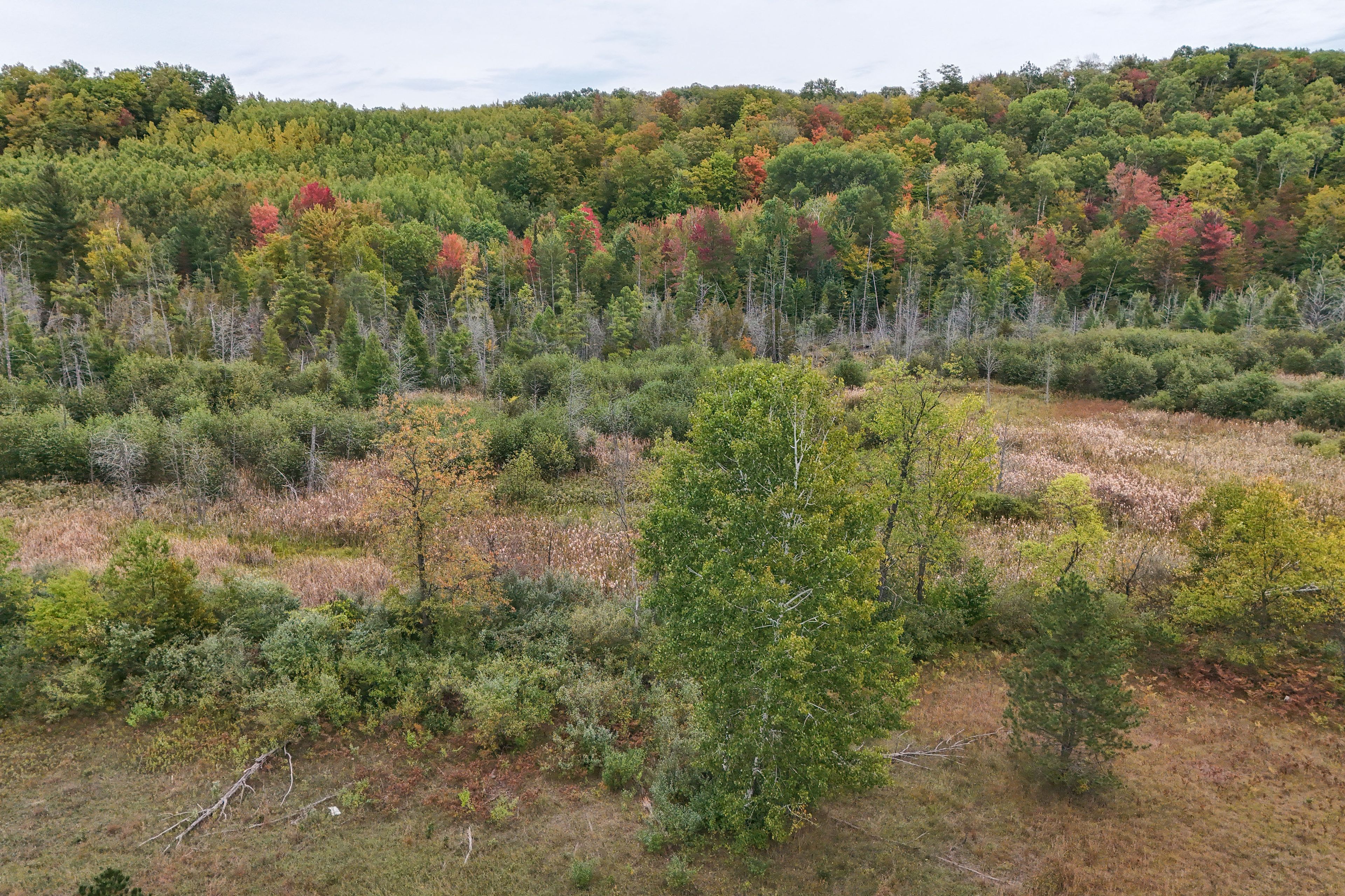 Surrounding Area