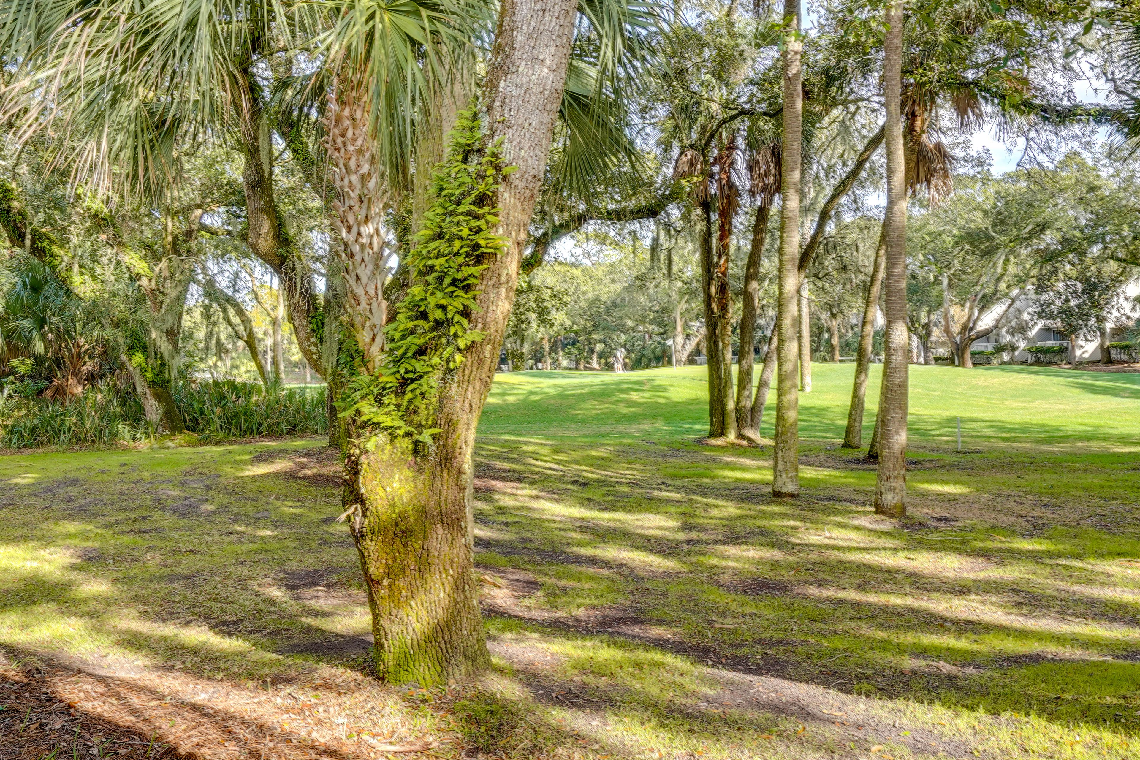 Community Amenities | Indoor & Outdoor Pools | Hot Tub | Beach Club