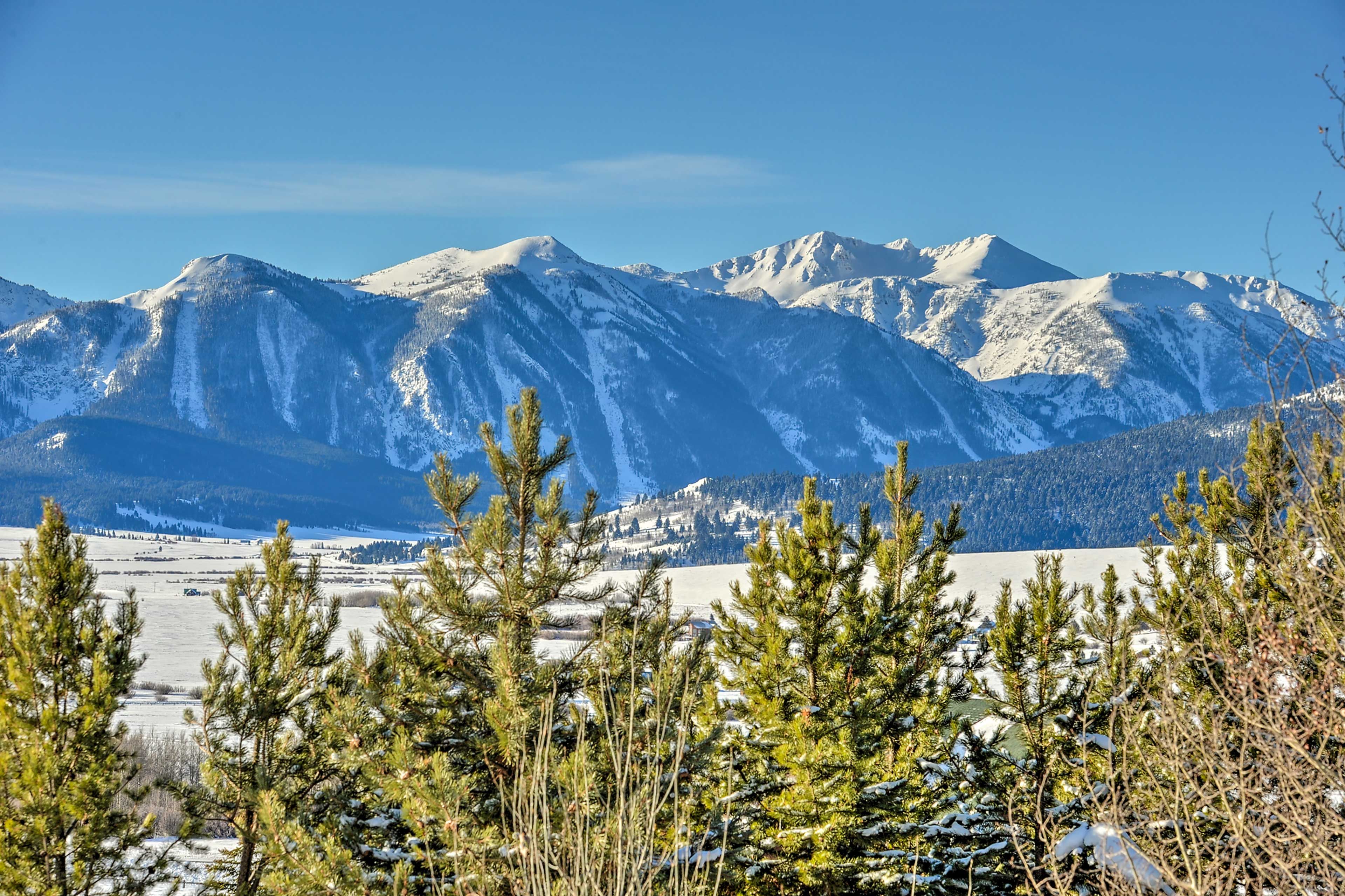 Property Views (From Surrounding Area, Not From Cabin)