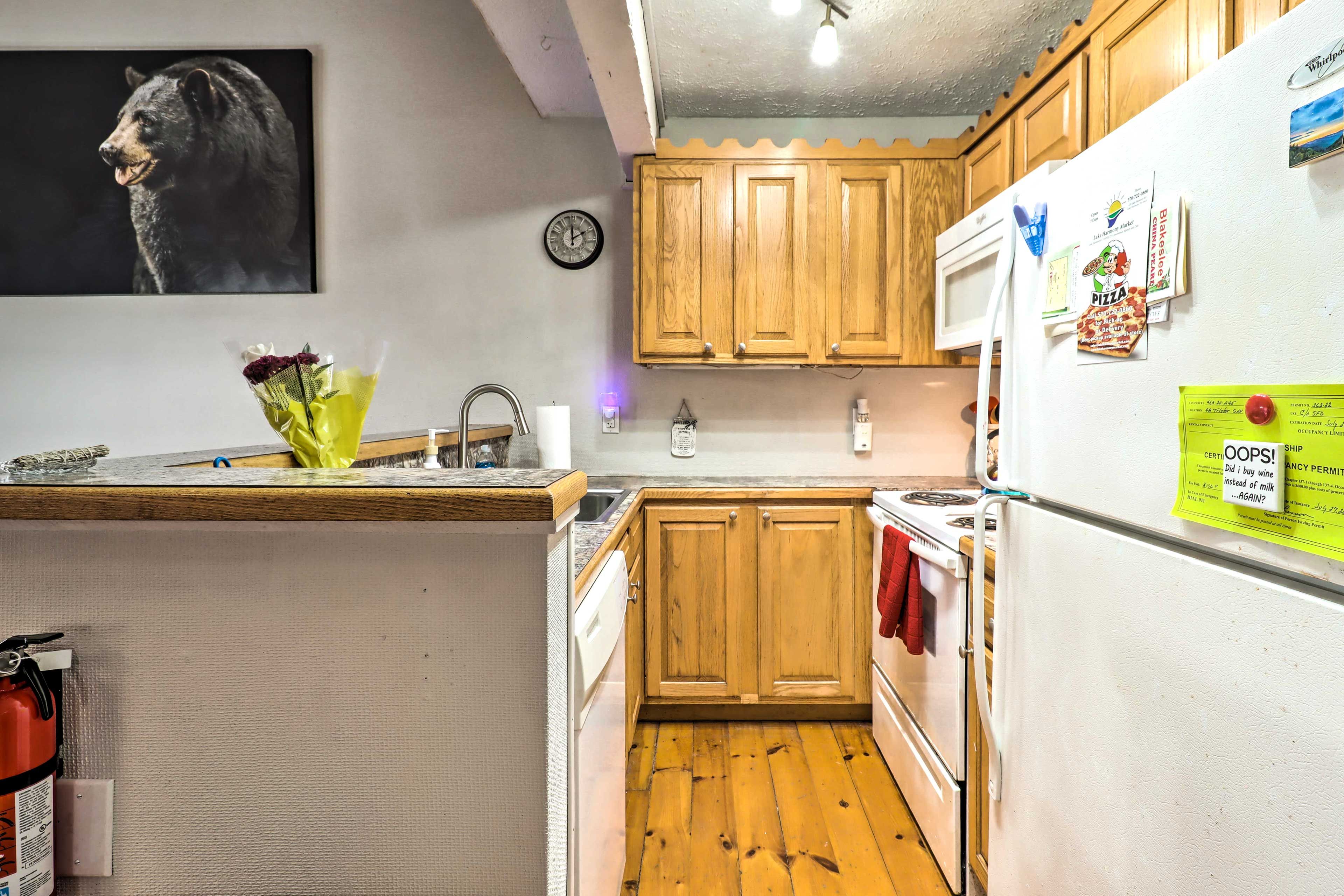 Image 11