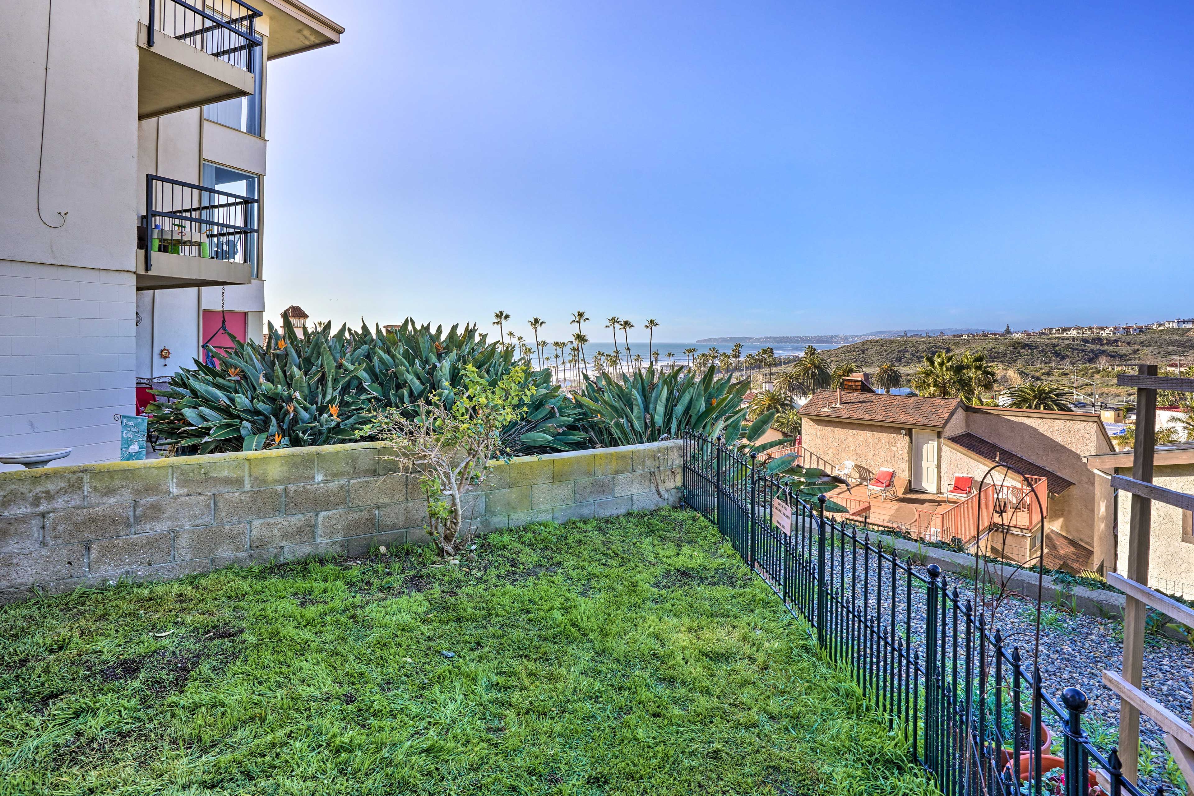 Patio Views
