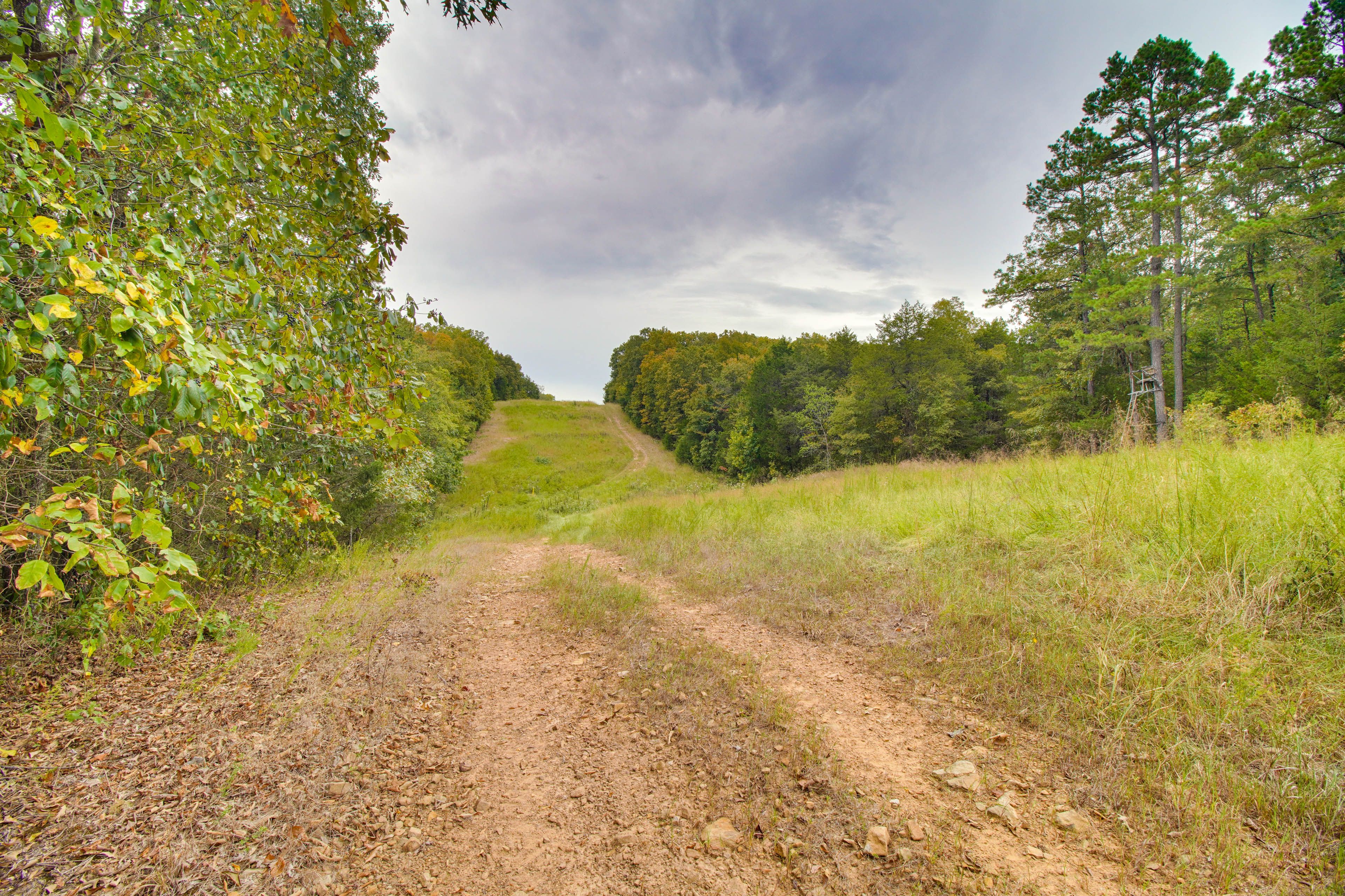 Hiking Trails