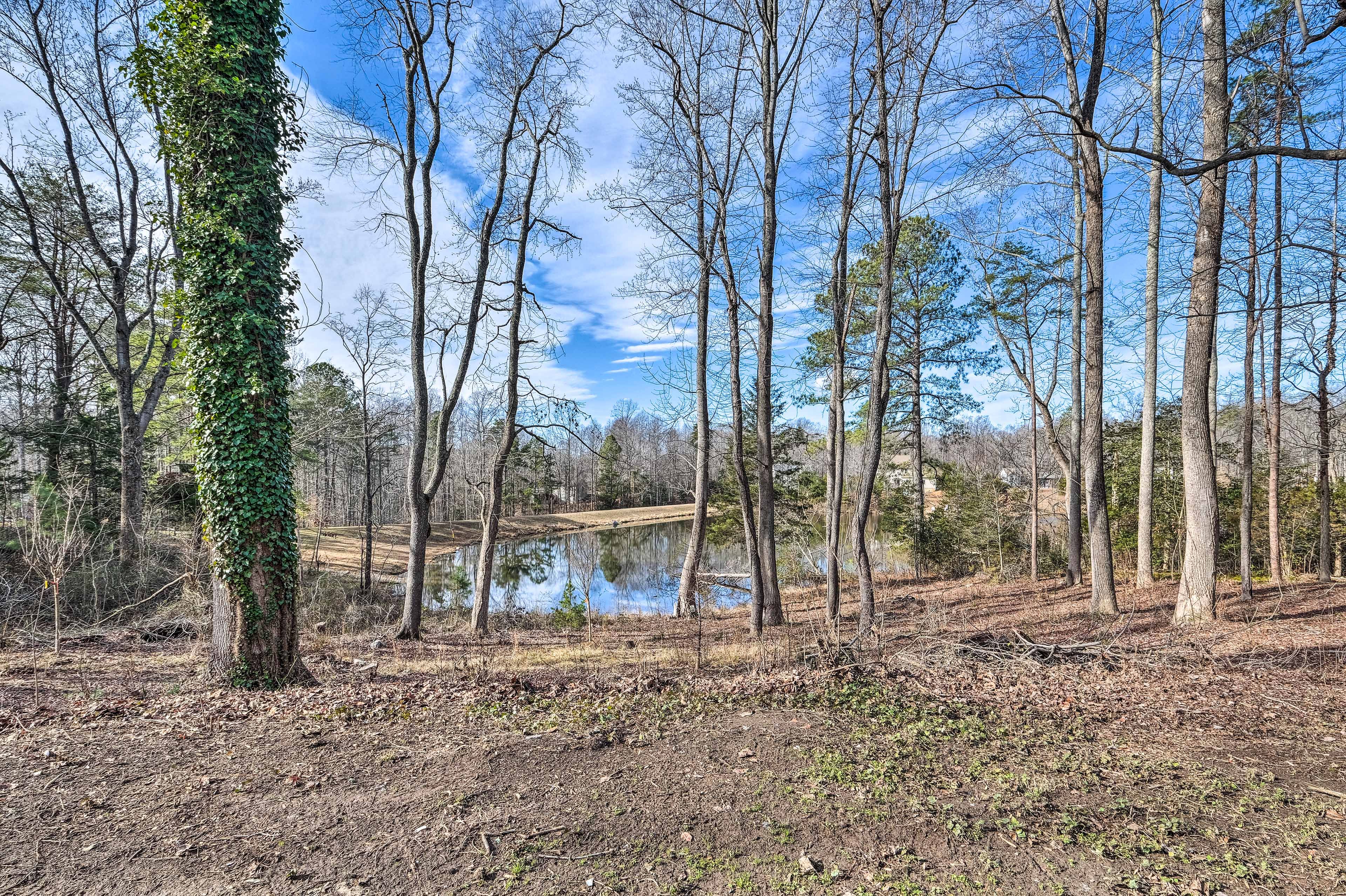 Backyard | Lake Views