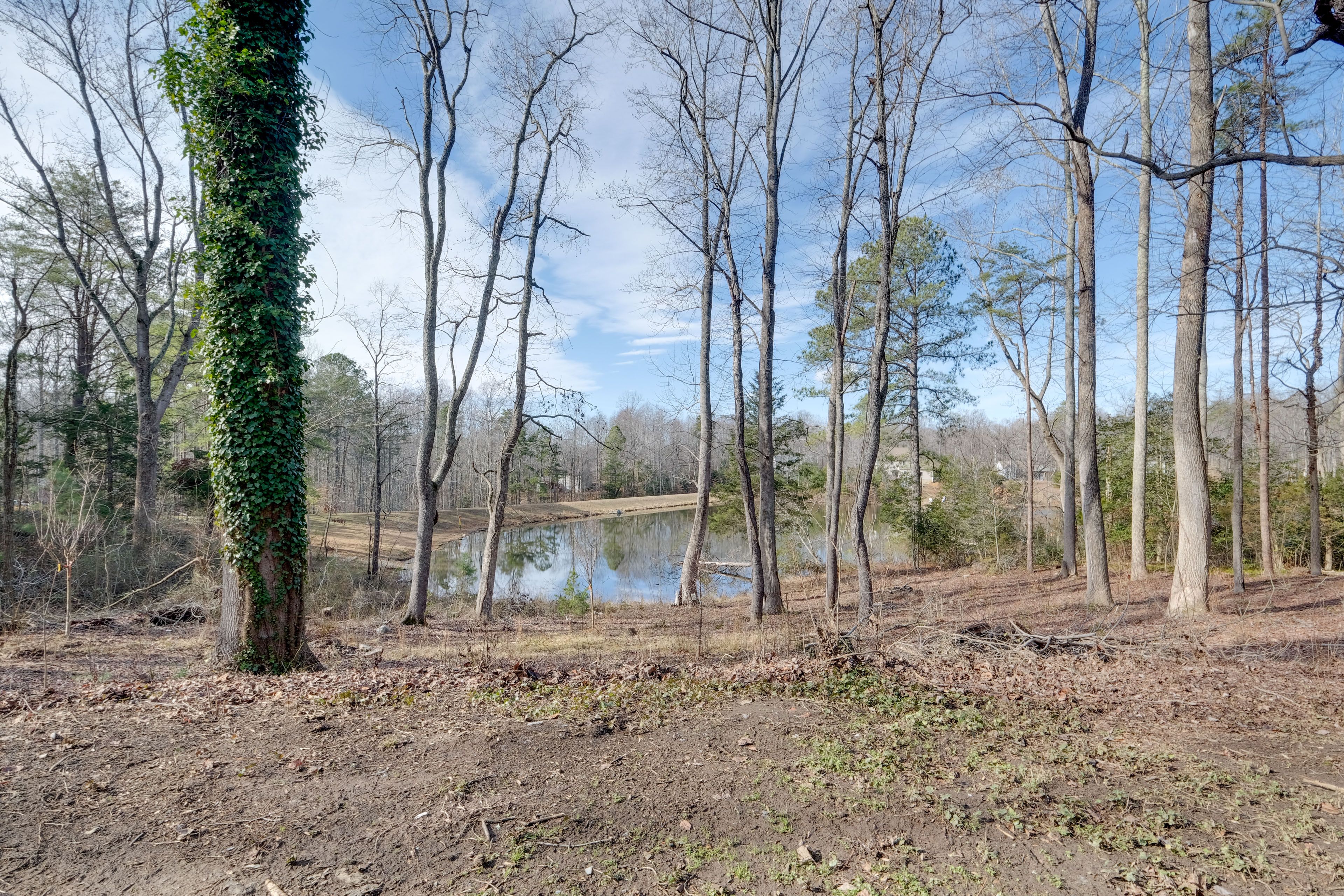 Backyard | Lake Views