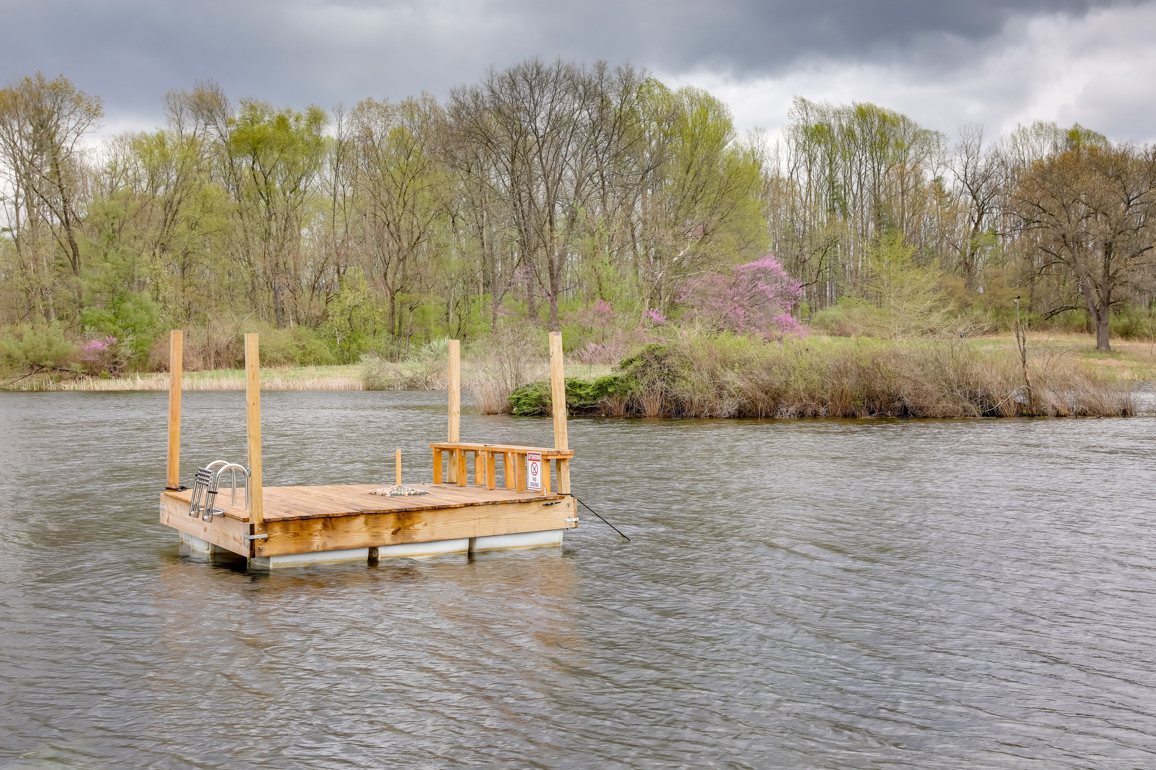 Swimming Platform