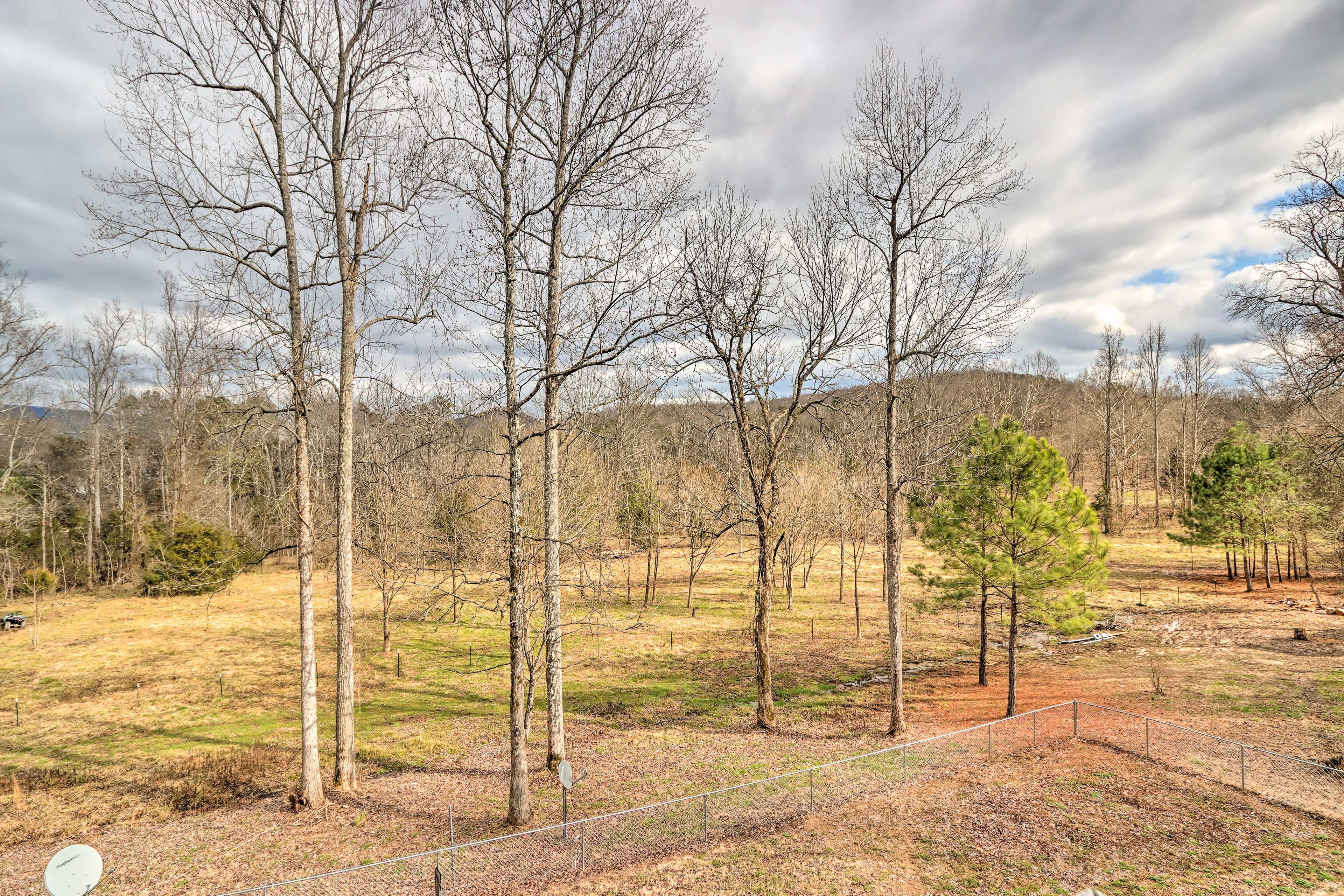Private Yard | Creek Access | FIre Pit | Horseshoes