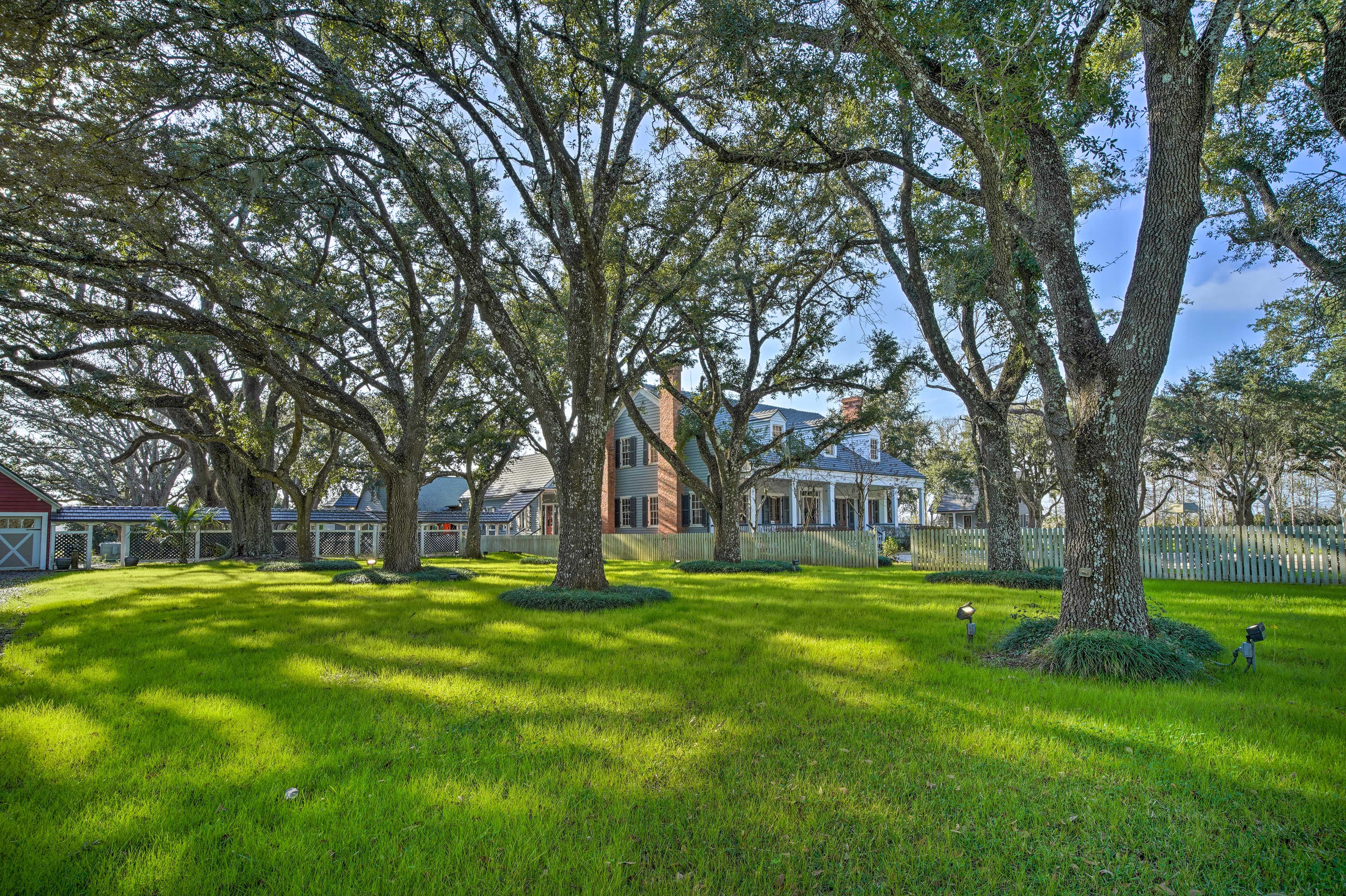 Shared Yard | Other Rental & Owner On-Site
