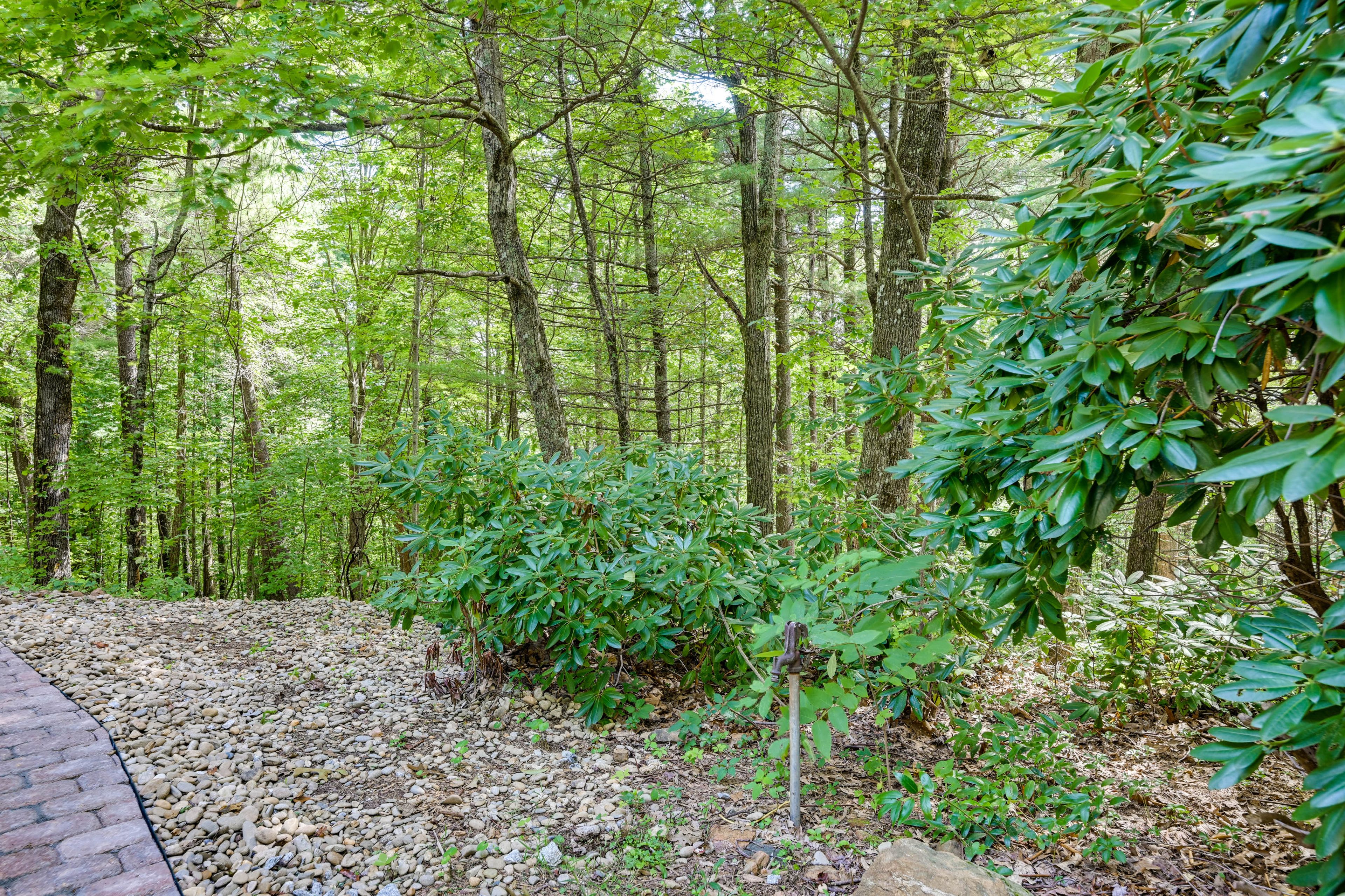 Walking Paths & Trails