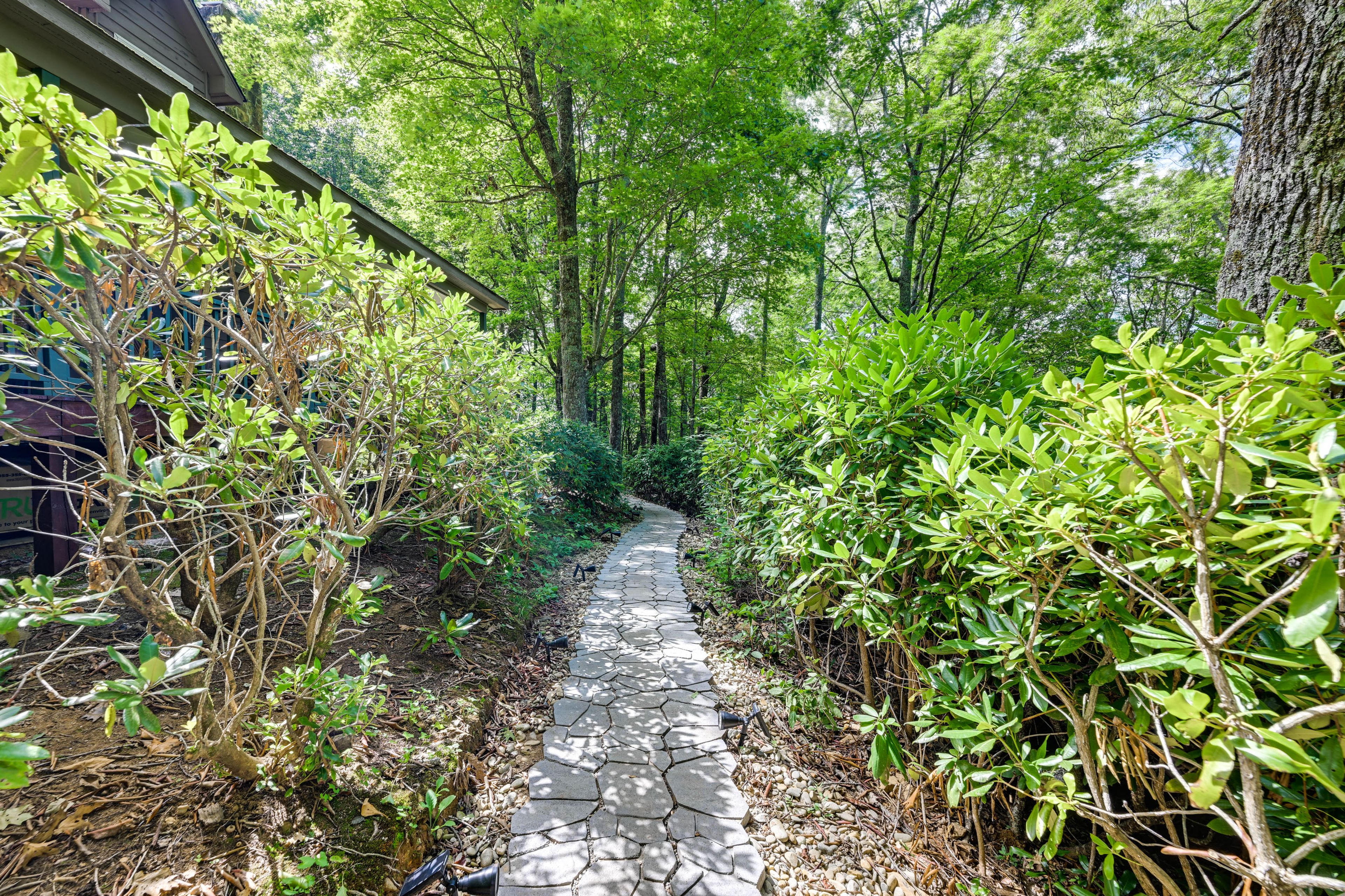 Image 25