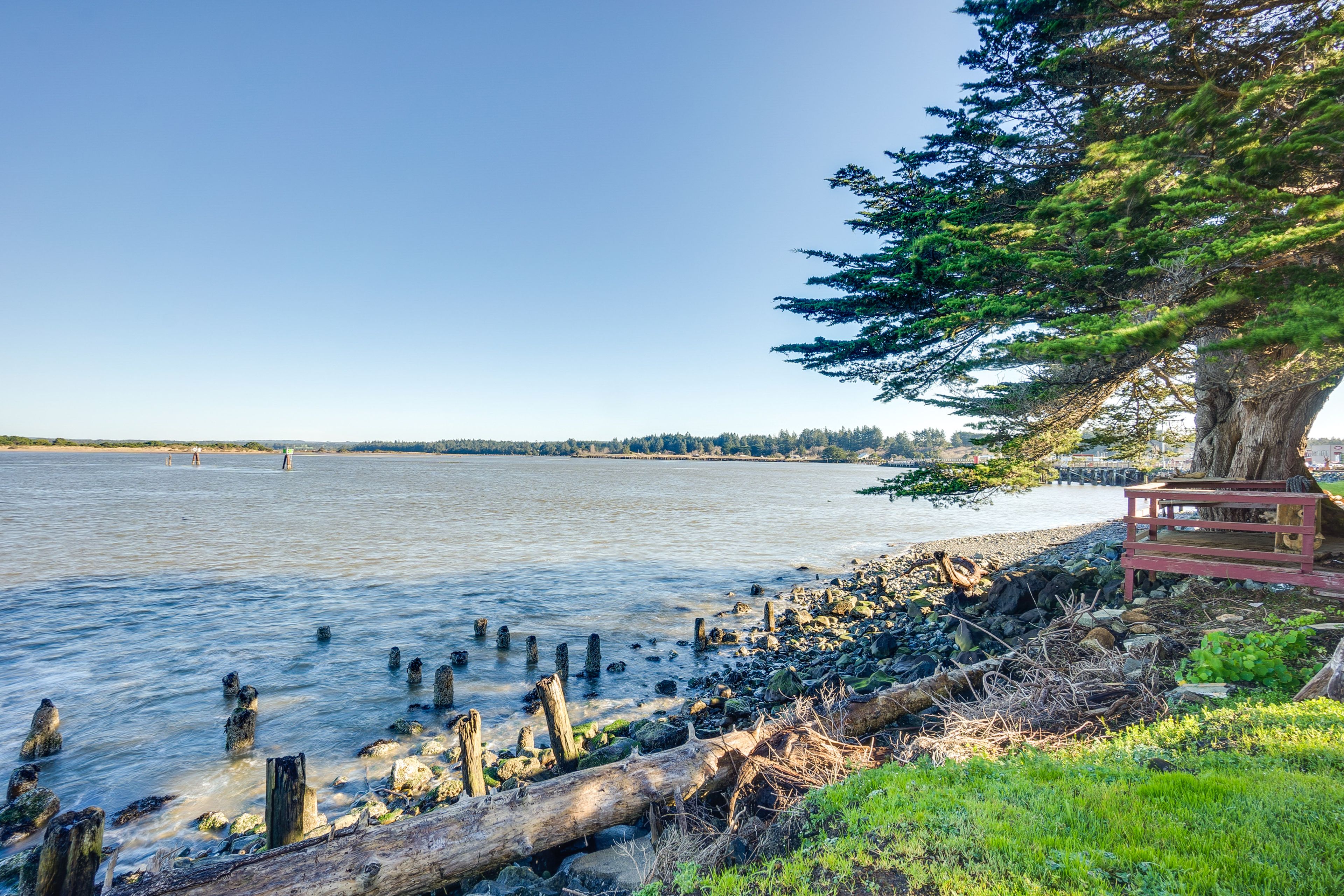 Coquille River View