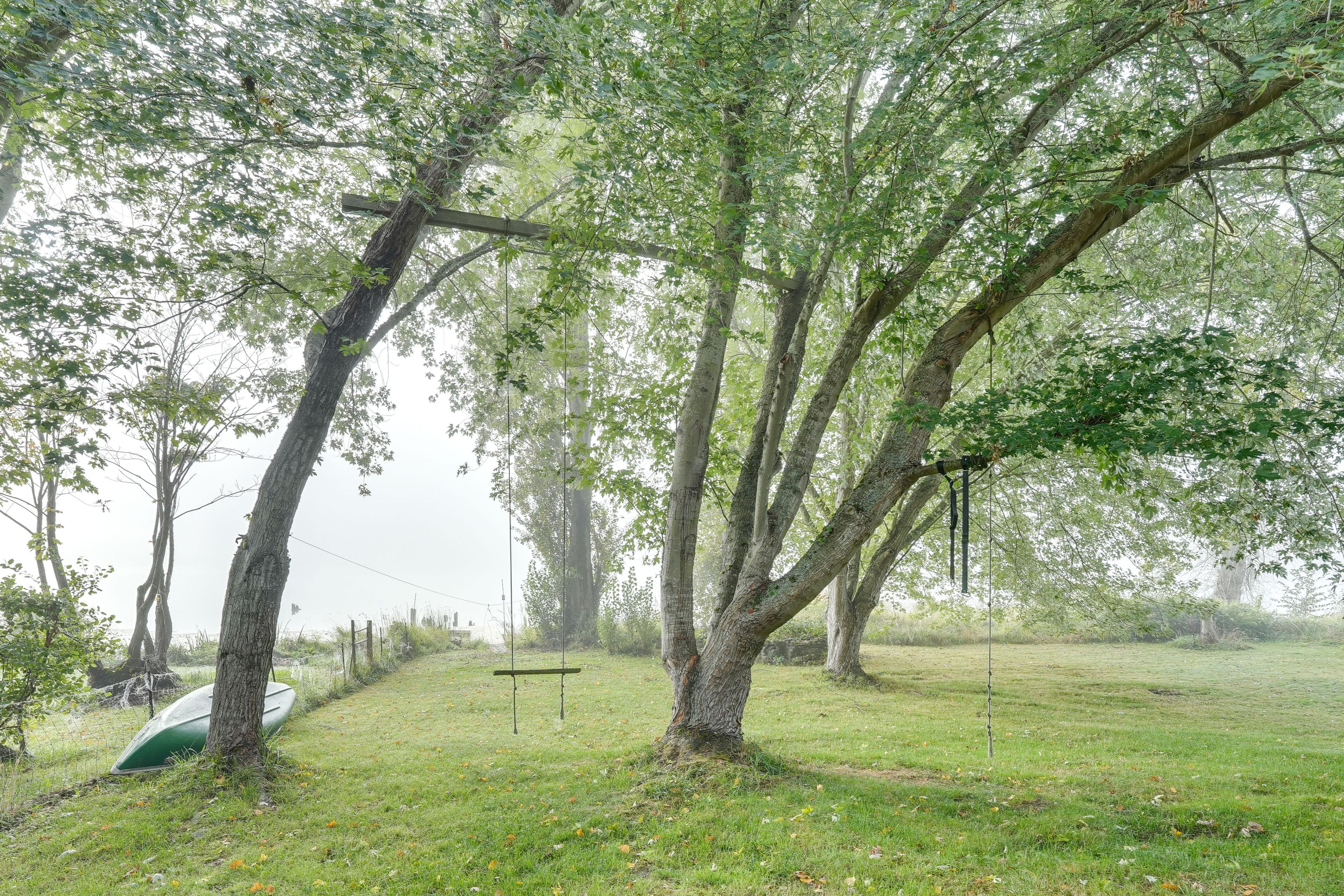 Spacious Yard | Swing | Canoe | Fire Pit