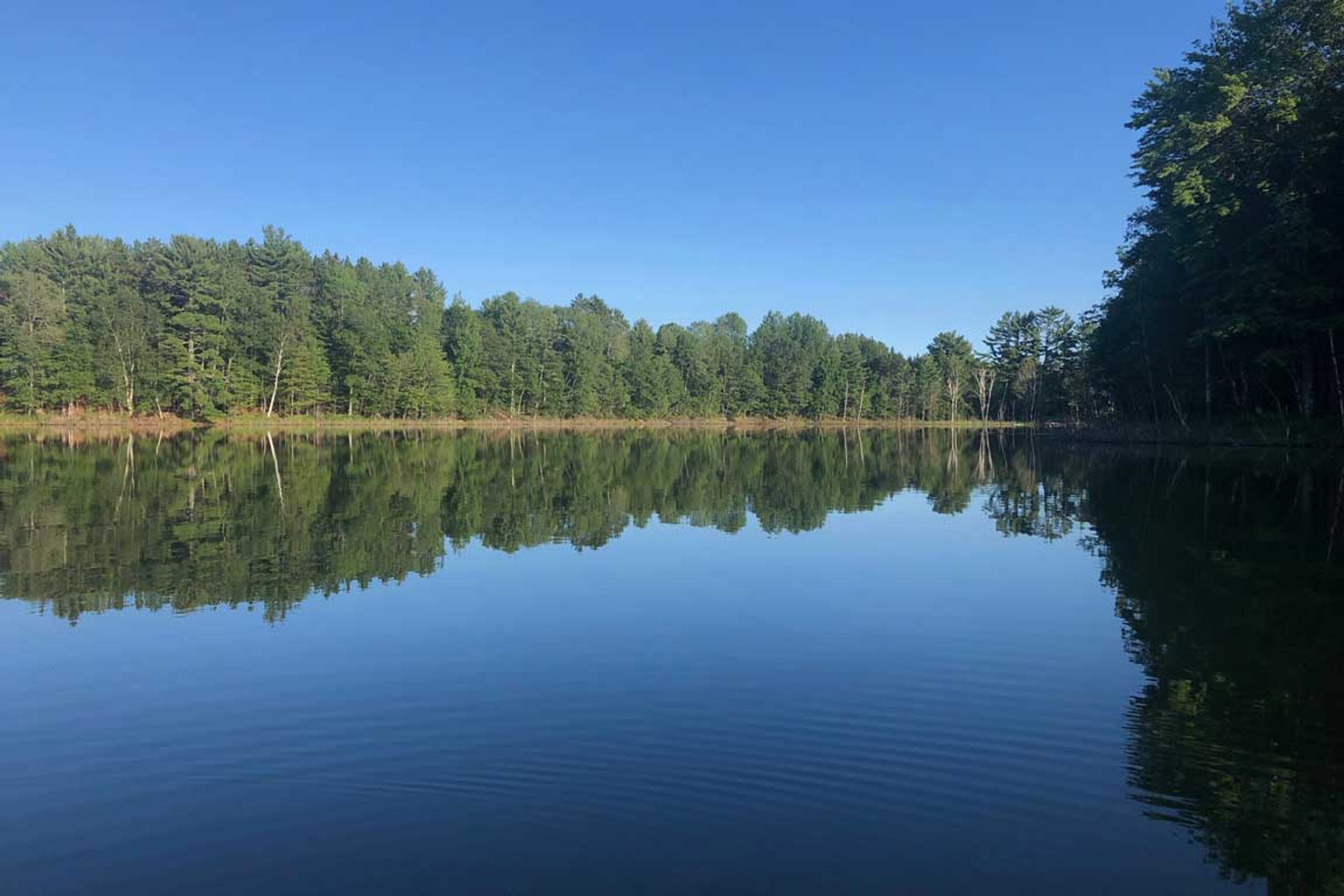 Halls Lake