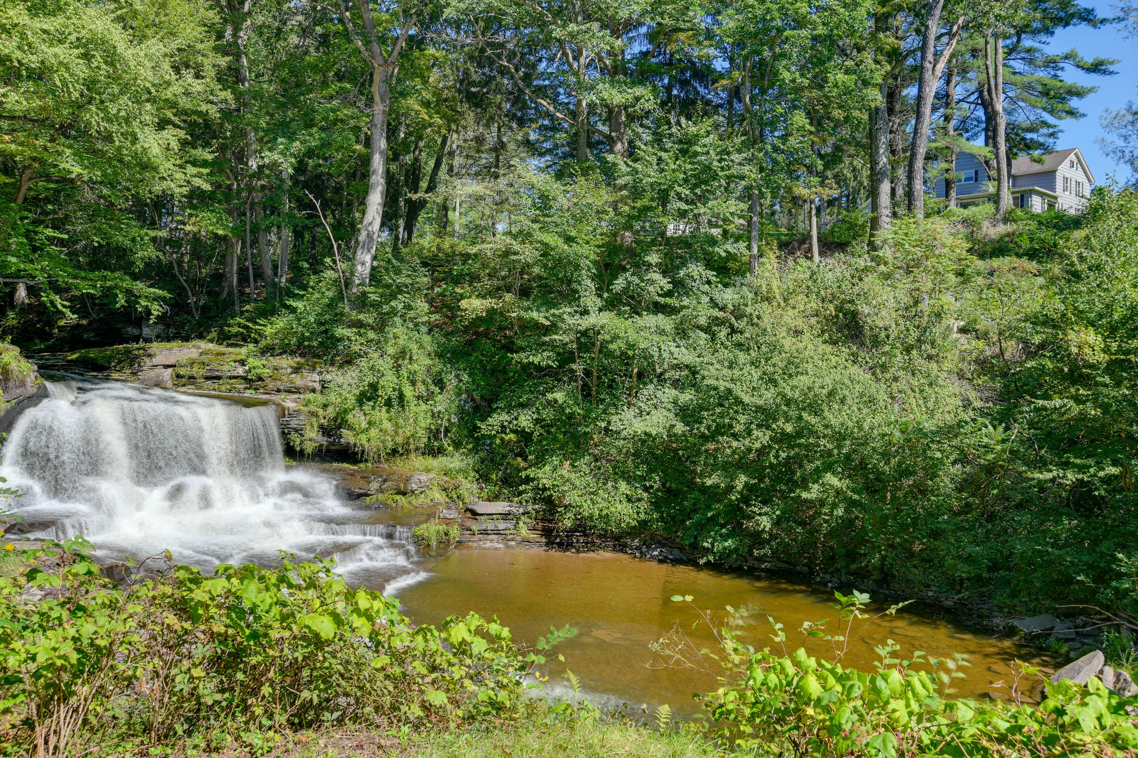 Nearby Waterfall