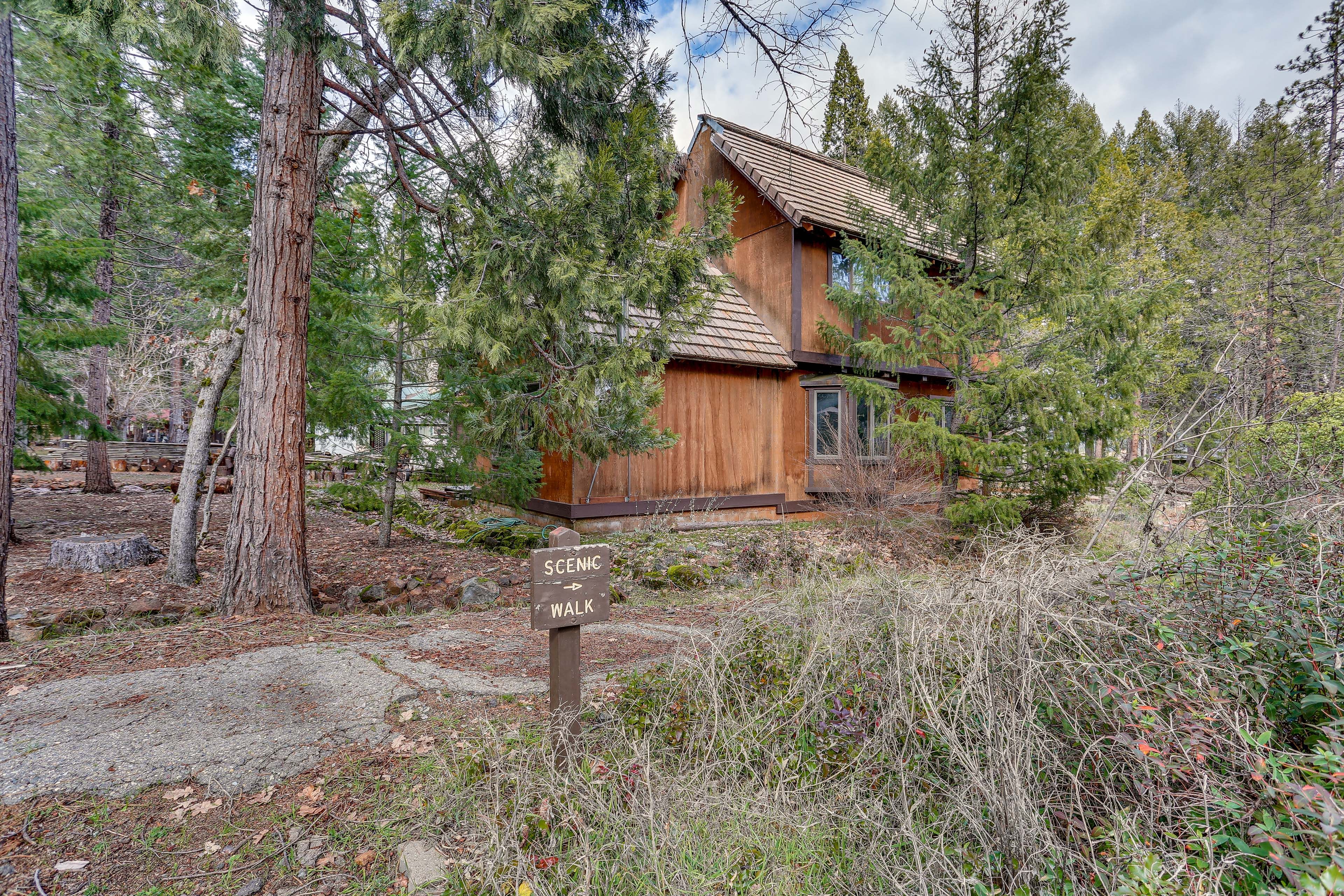 Walking Path On-Site