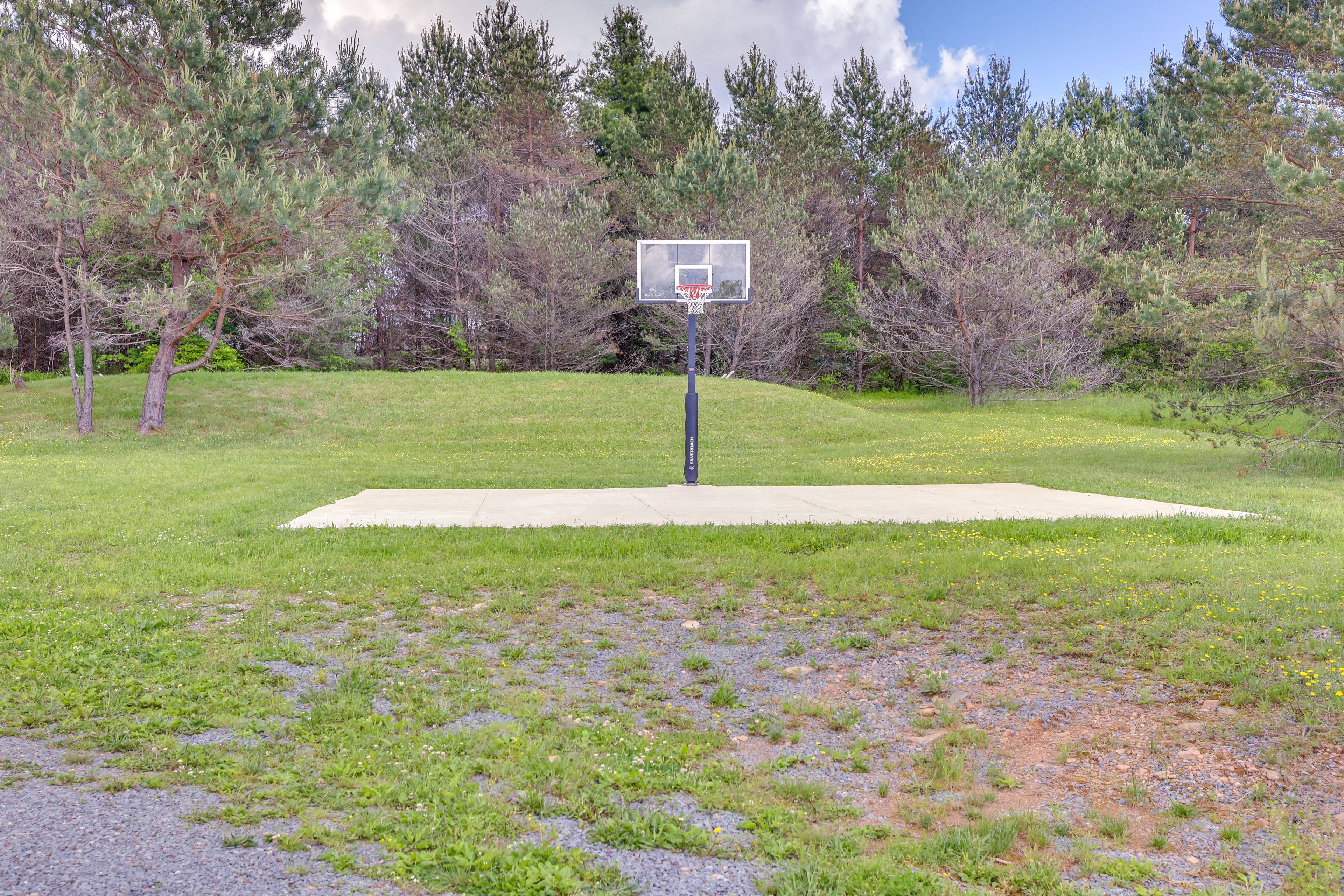 Basketball Court