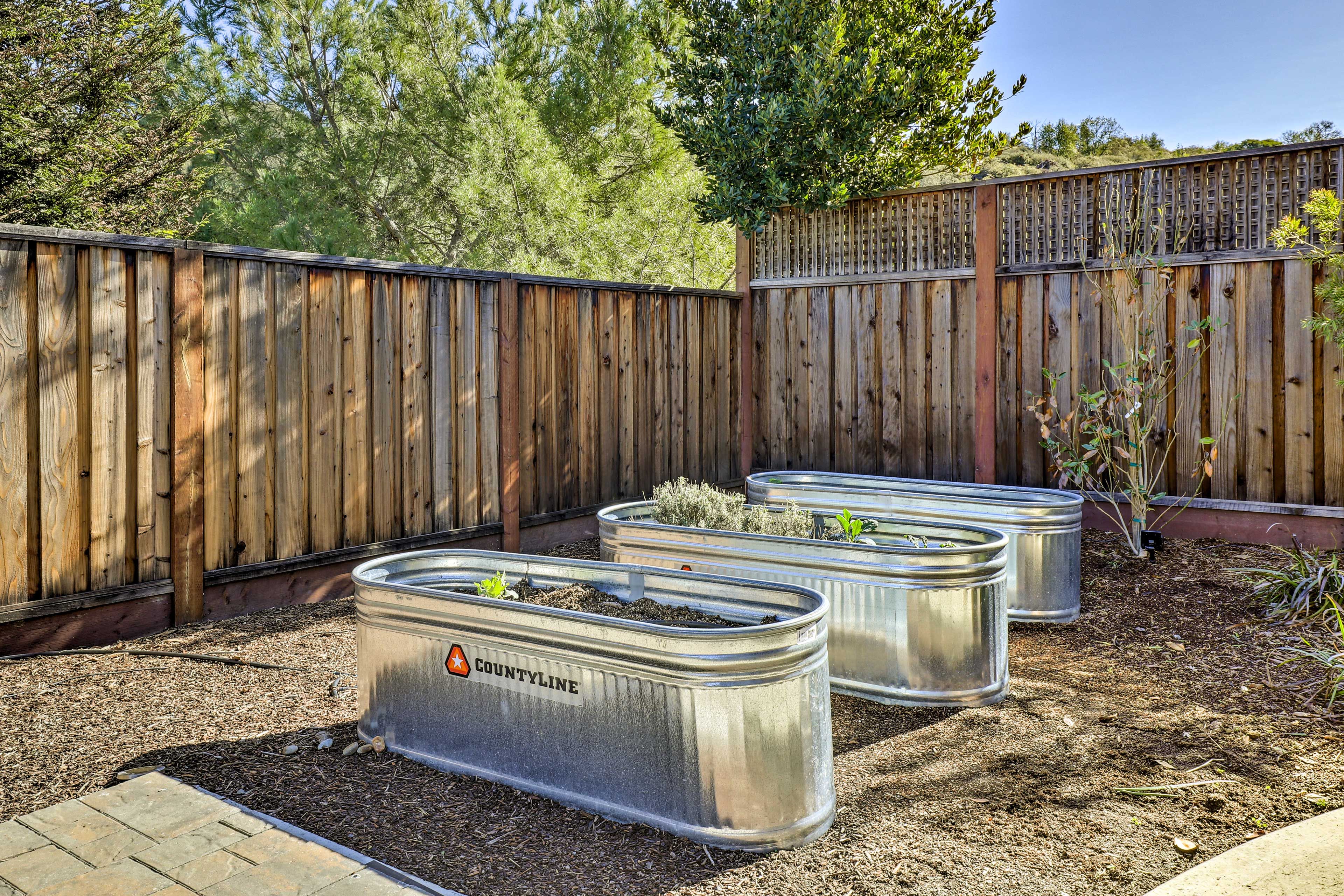 Vegetable Garden