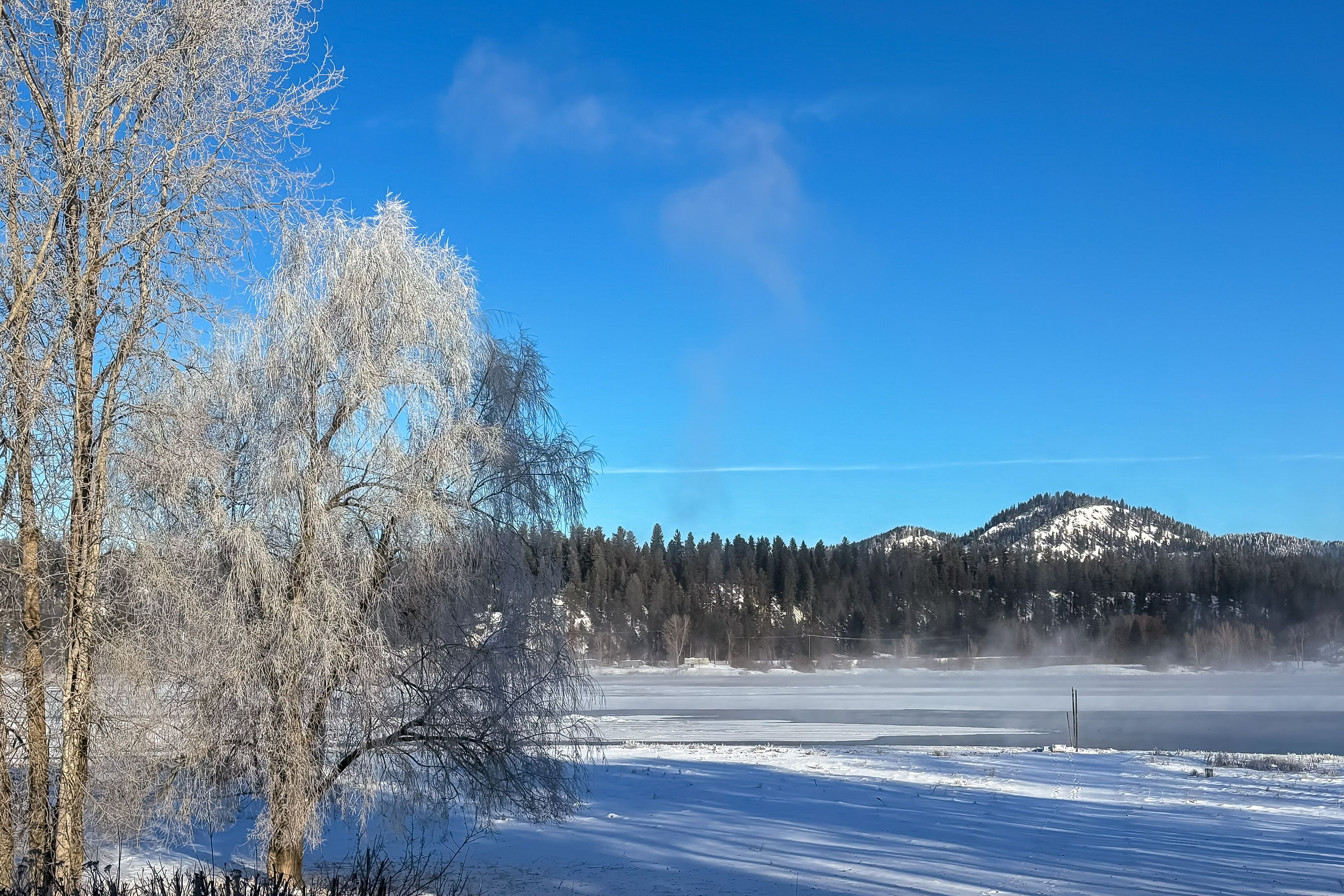 Winter Views