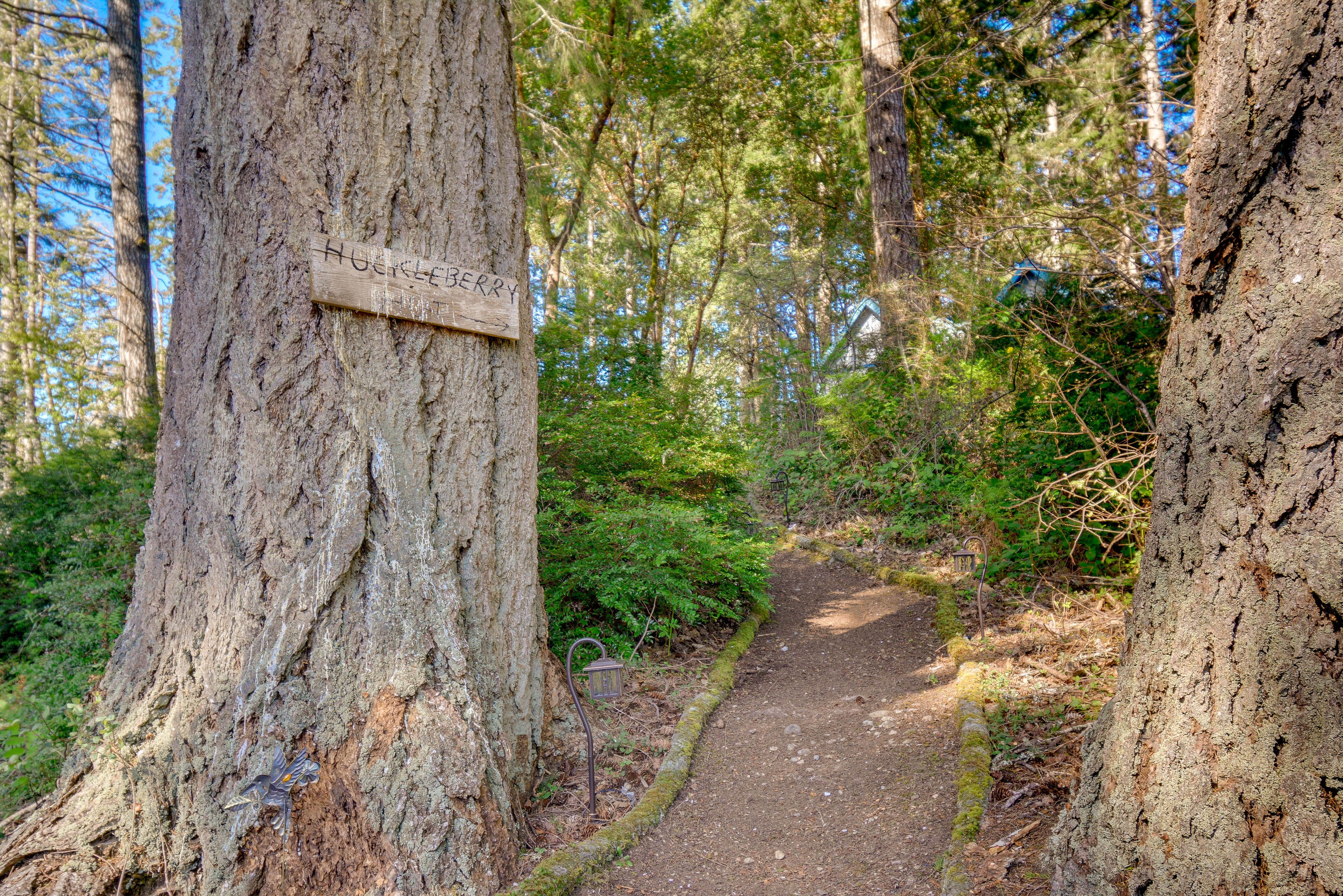 Path to 'Huckleberry Hut'