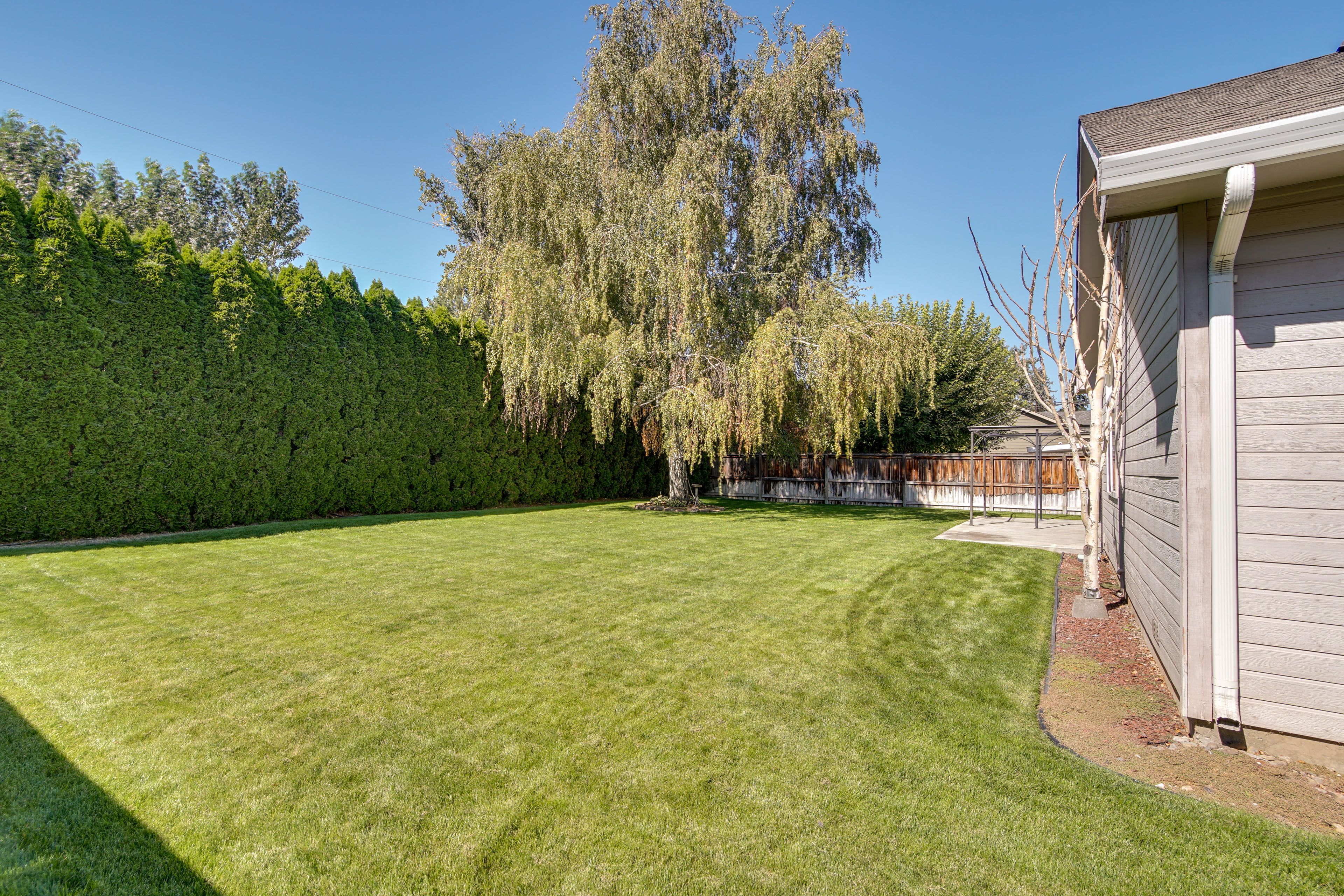 Fenced Backyard