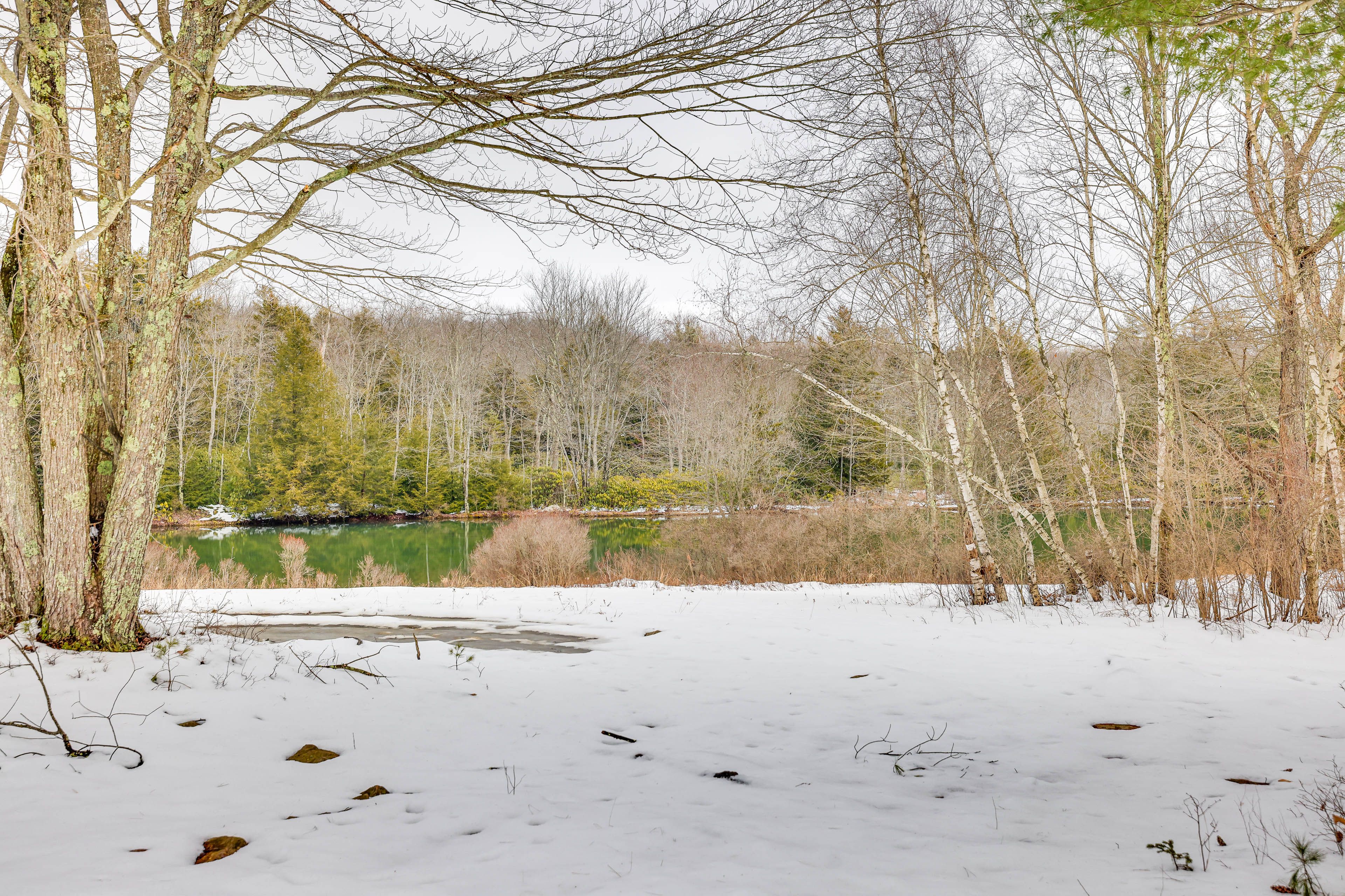 Nearby Lake