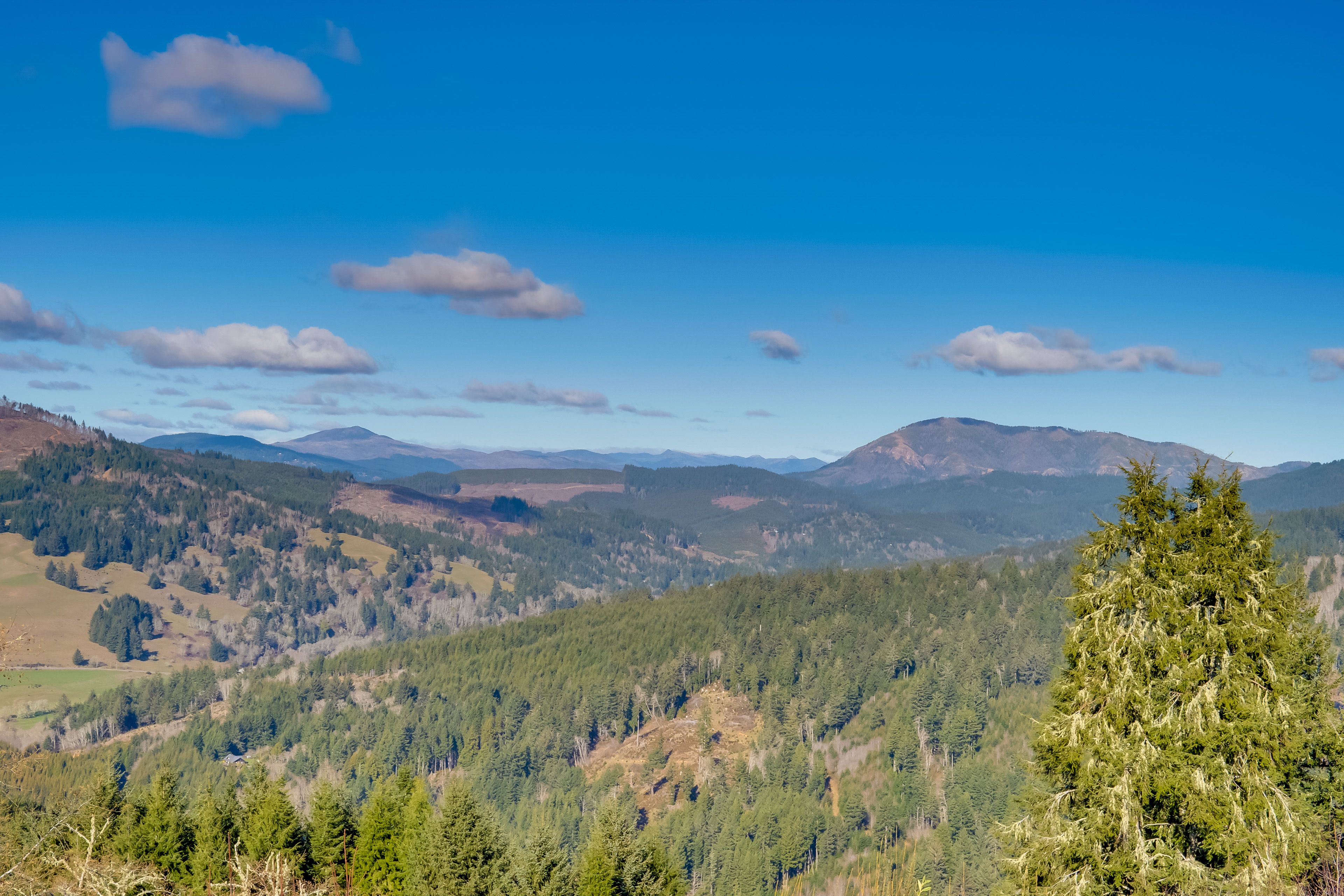 Unobstructed Views | Patio | Hot Tub