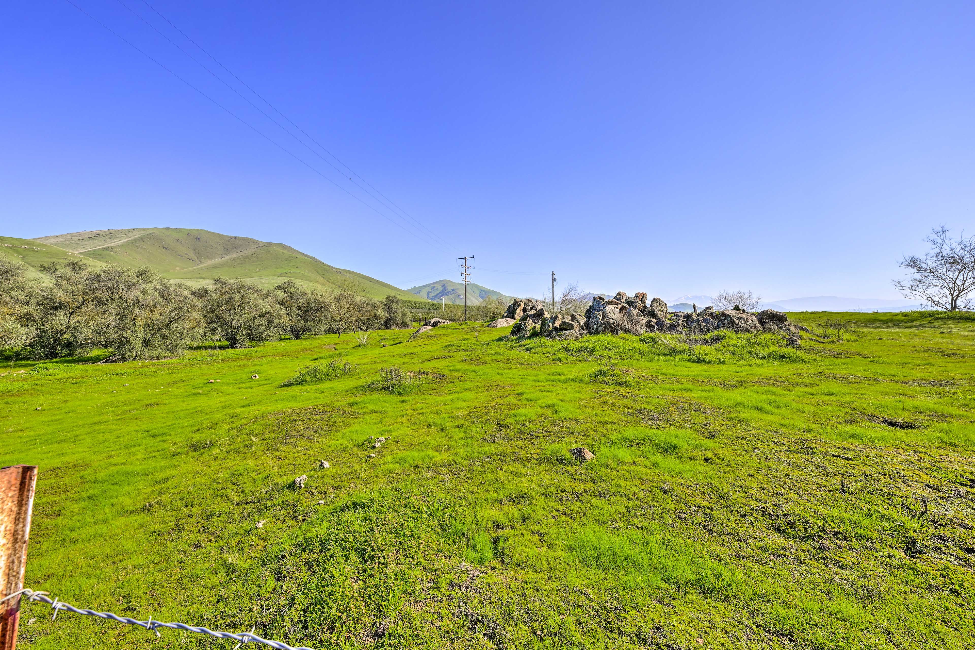Surrounding Area