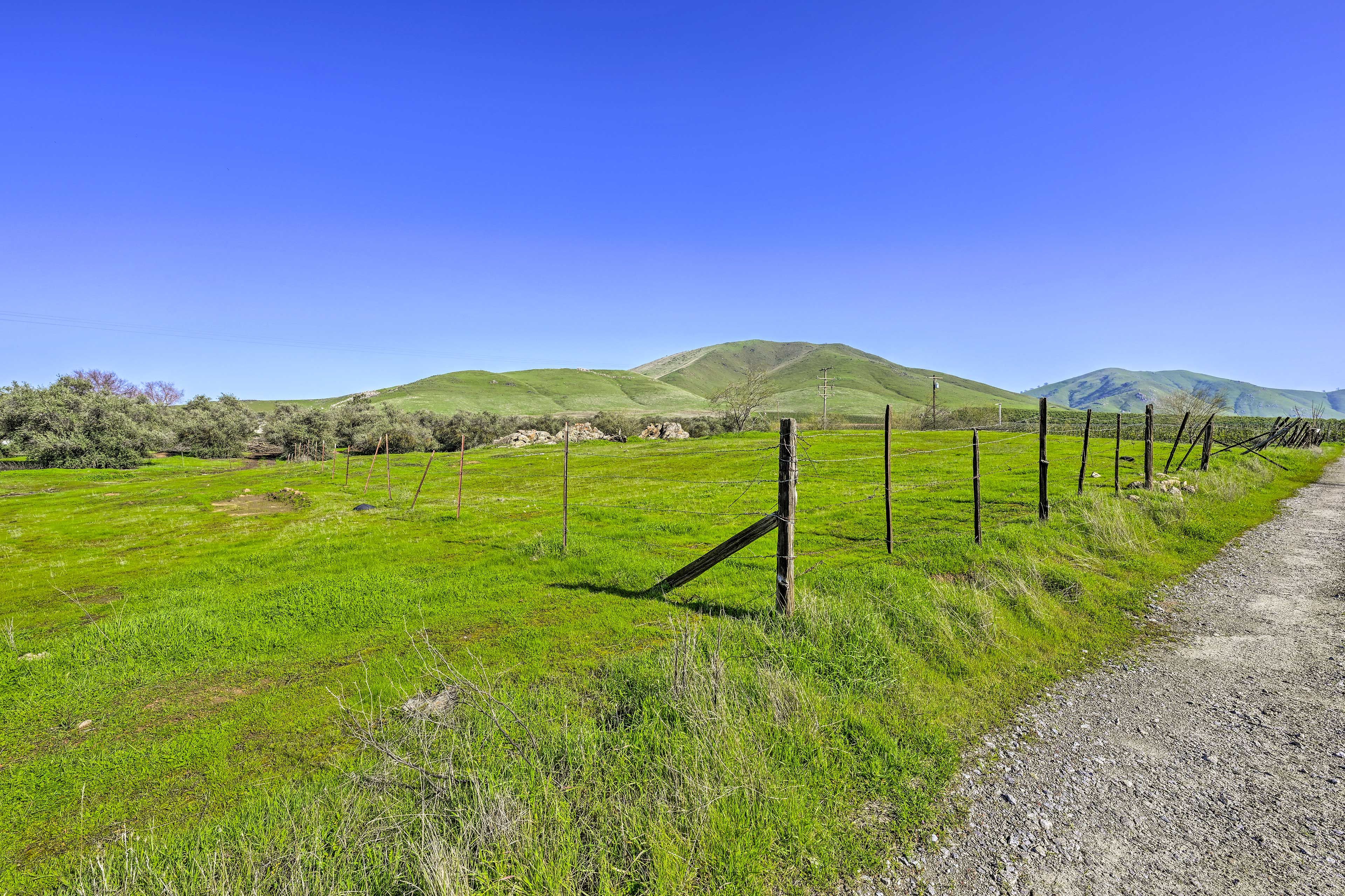 Surrounding Area | Sierra Nevada Views