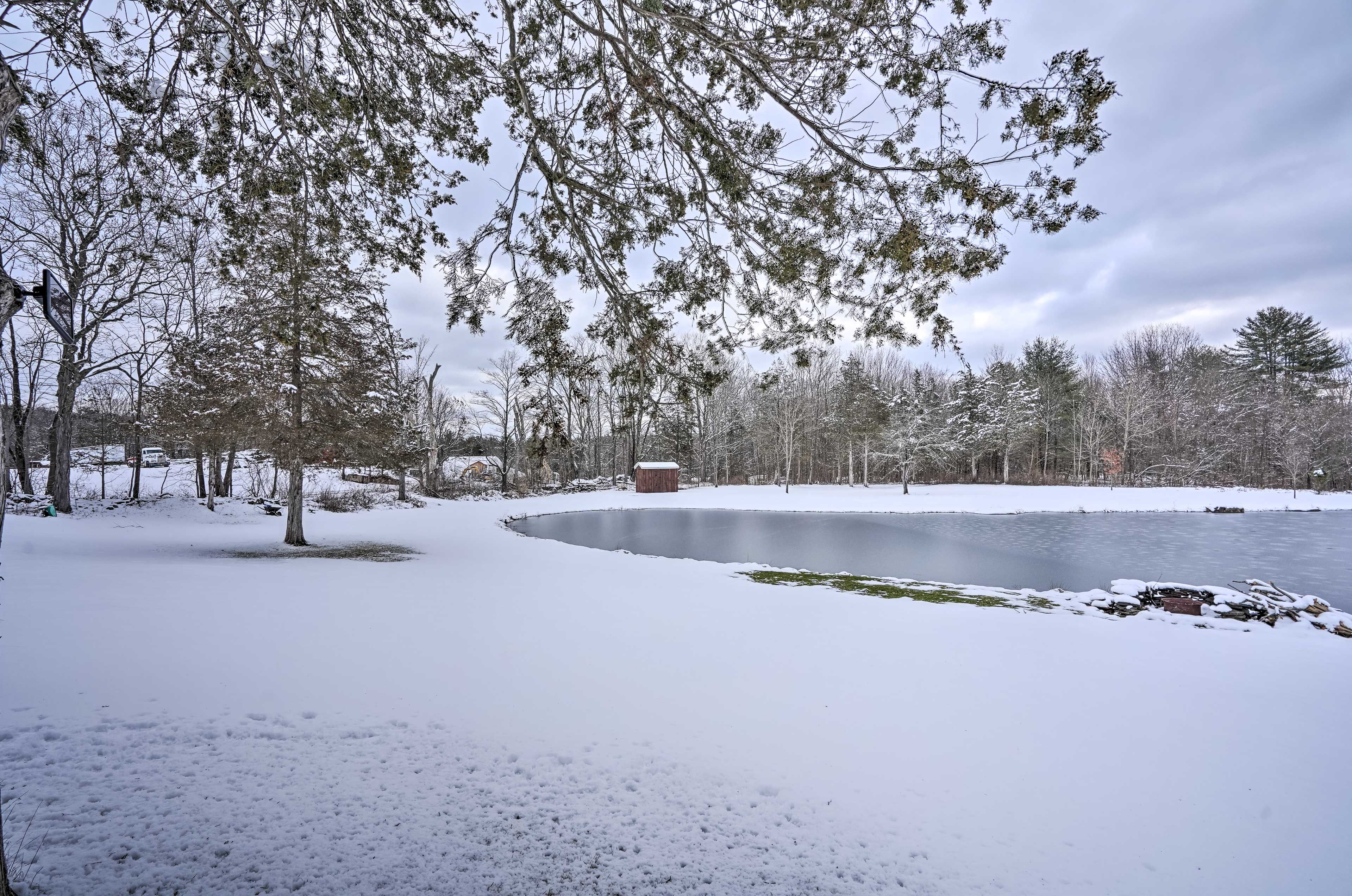 Pond