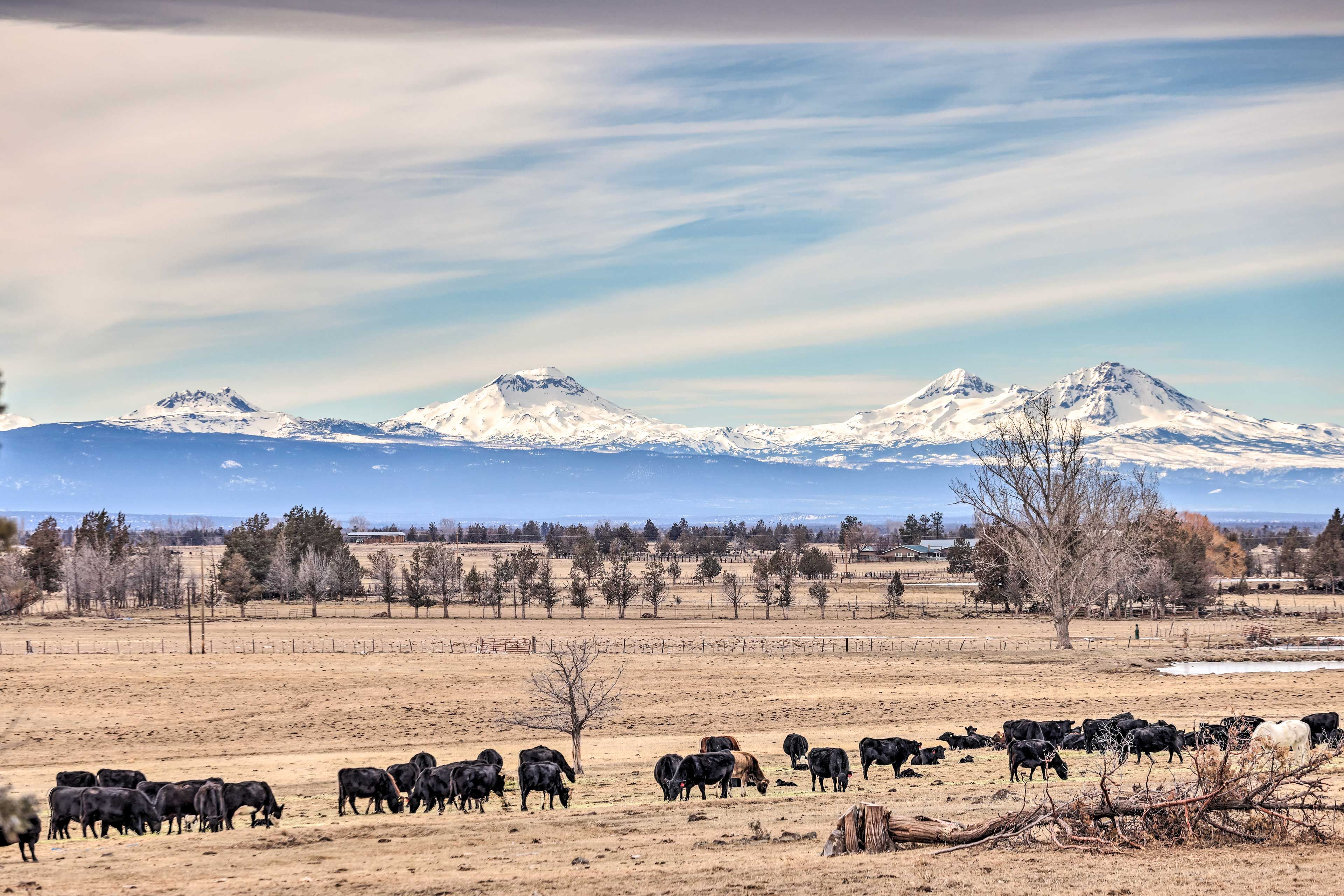 Cascades Ranch | Surrounding Scenery