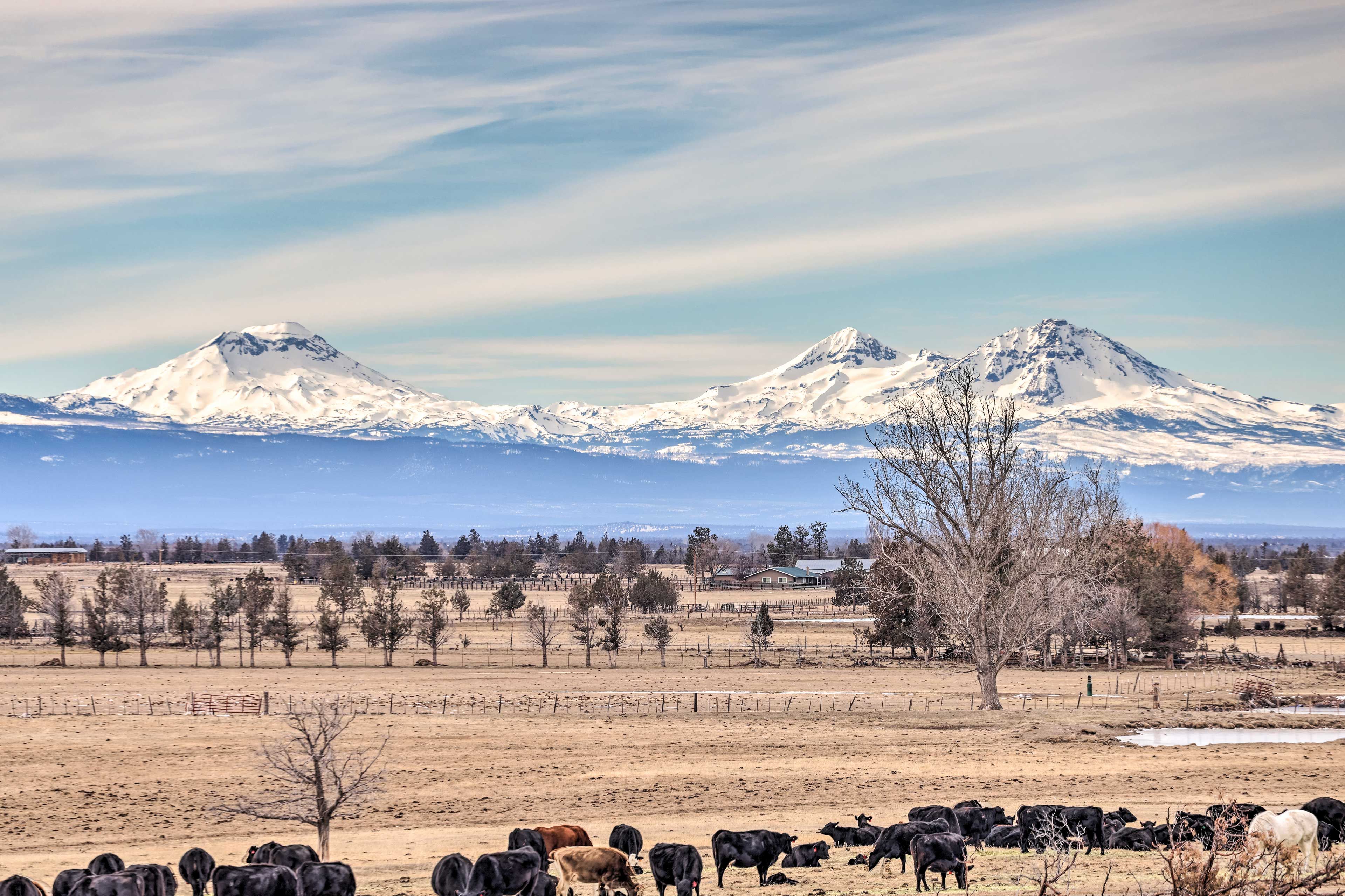 Surrounding Scenery | Cascade Mountains