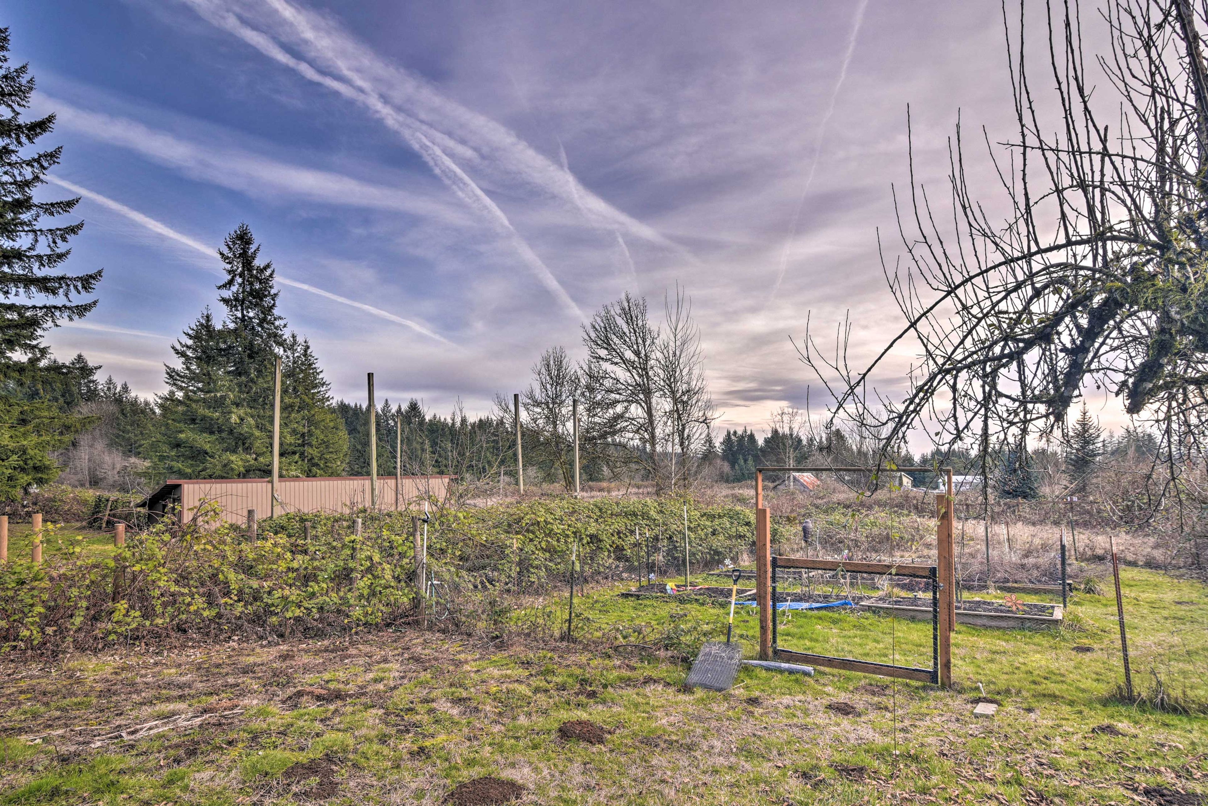 Garden & Fruit Trees