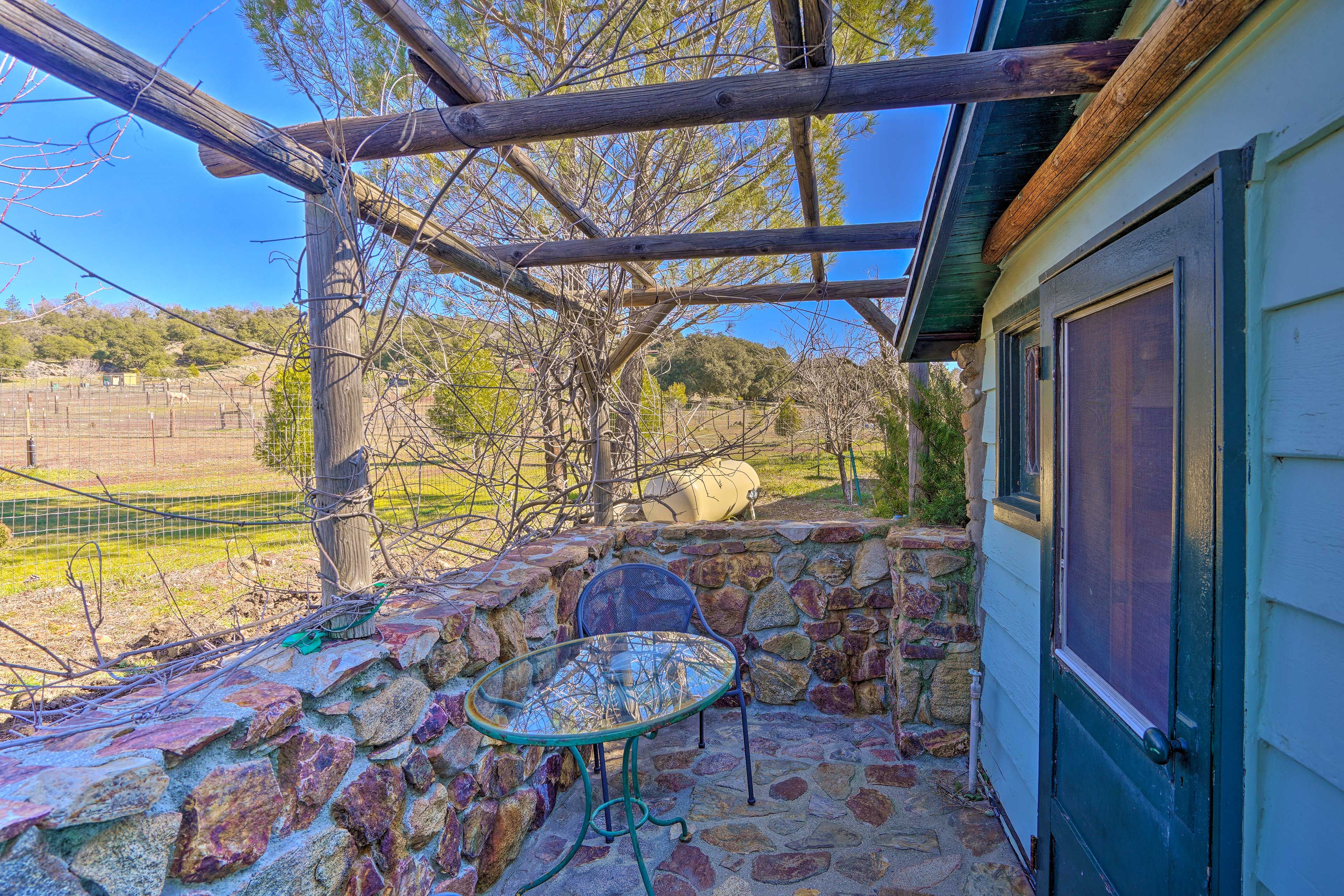 Side Patio | Landscape View
