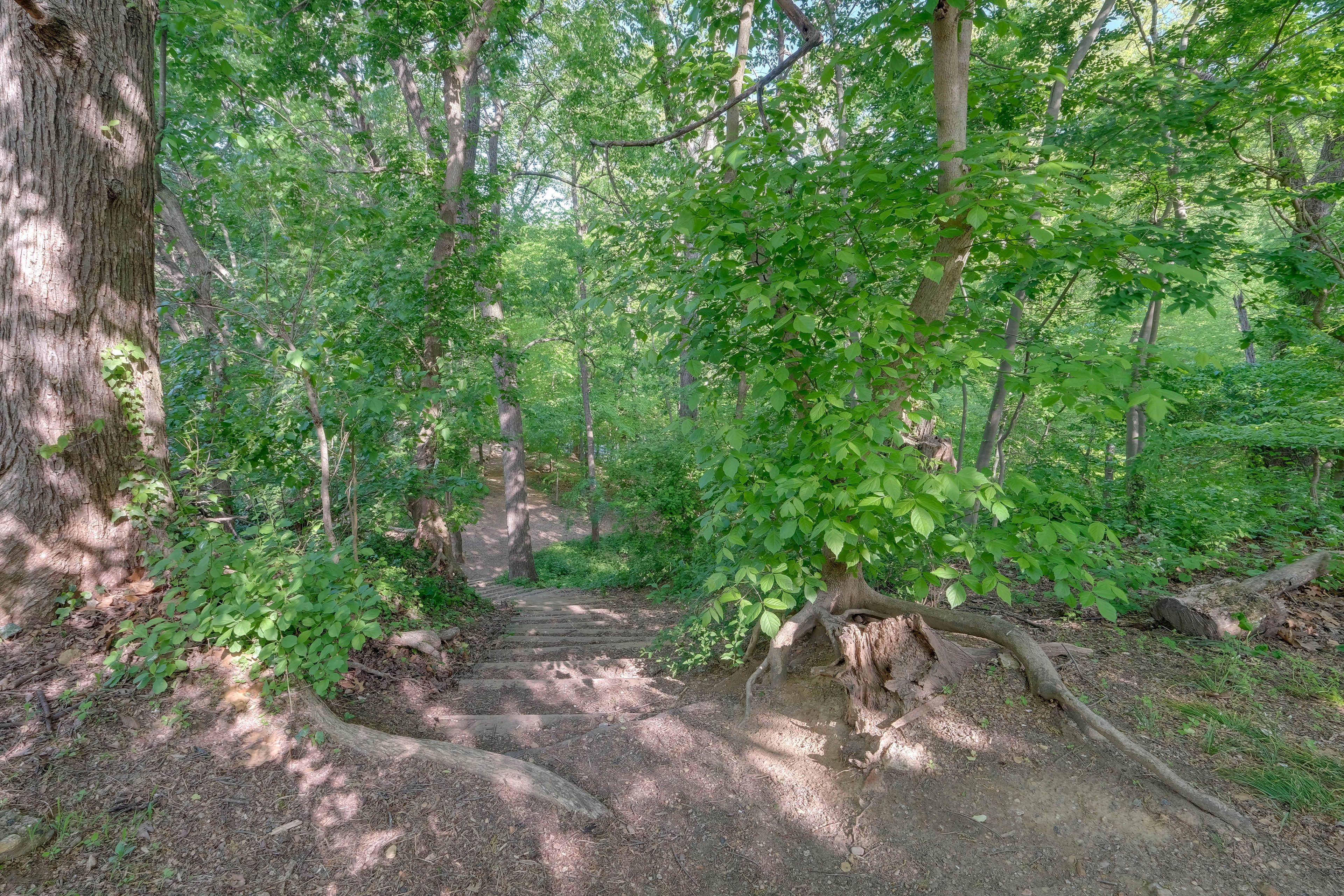 Rock Creek Park Trail Acess