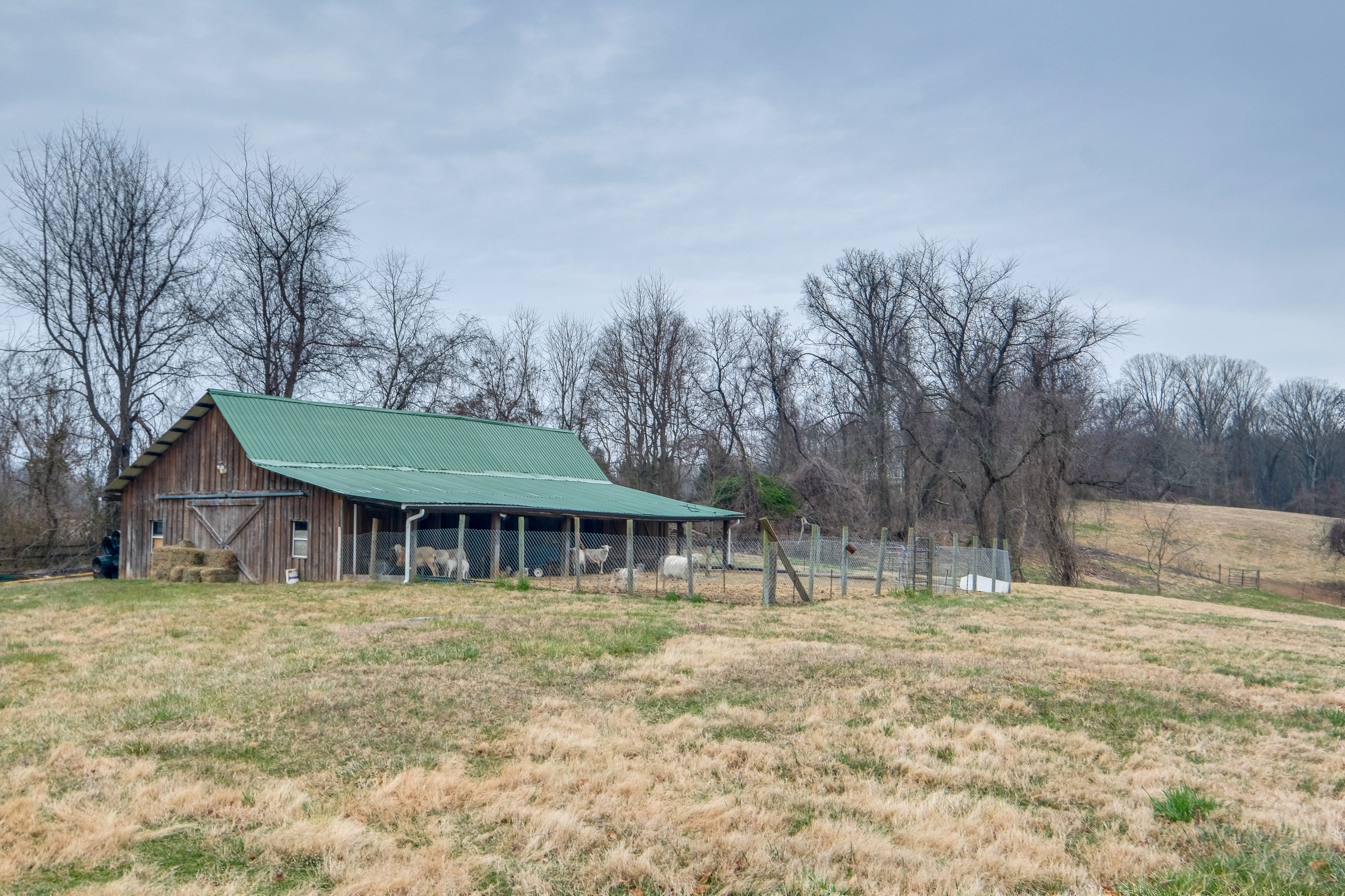 On-Site Sheep Pen