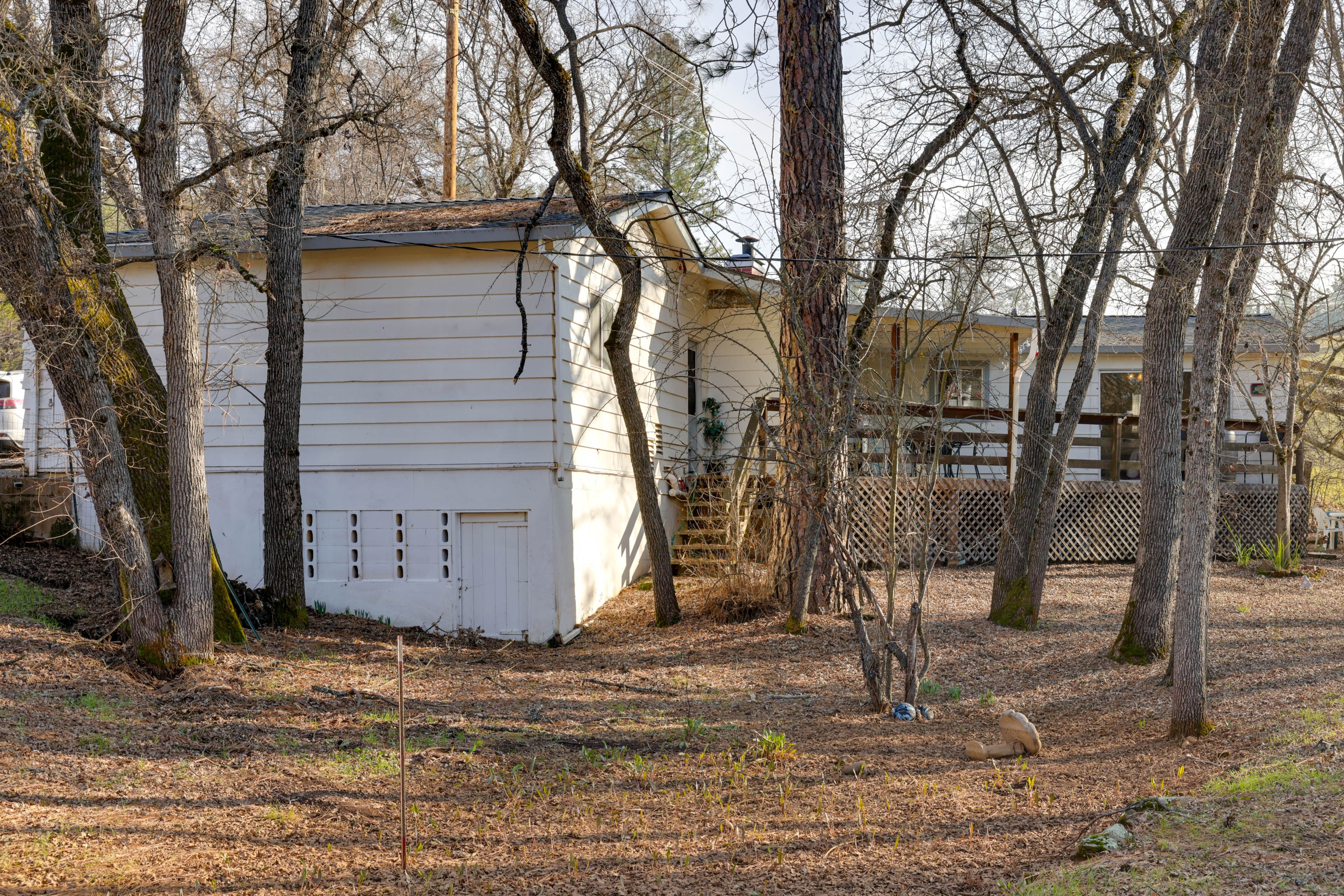 Image 19